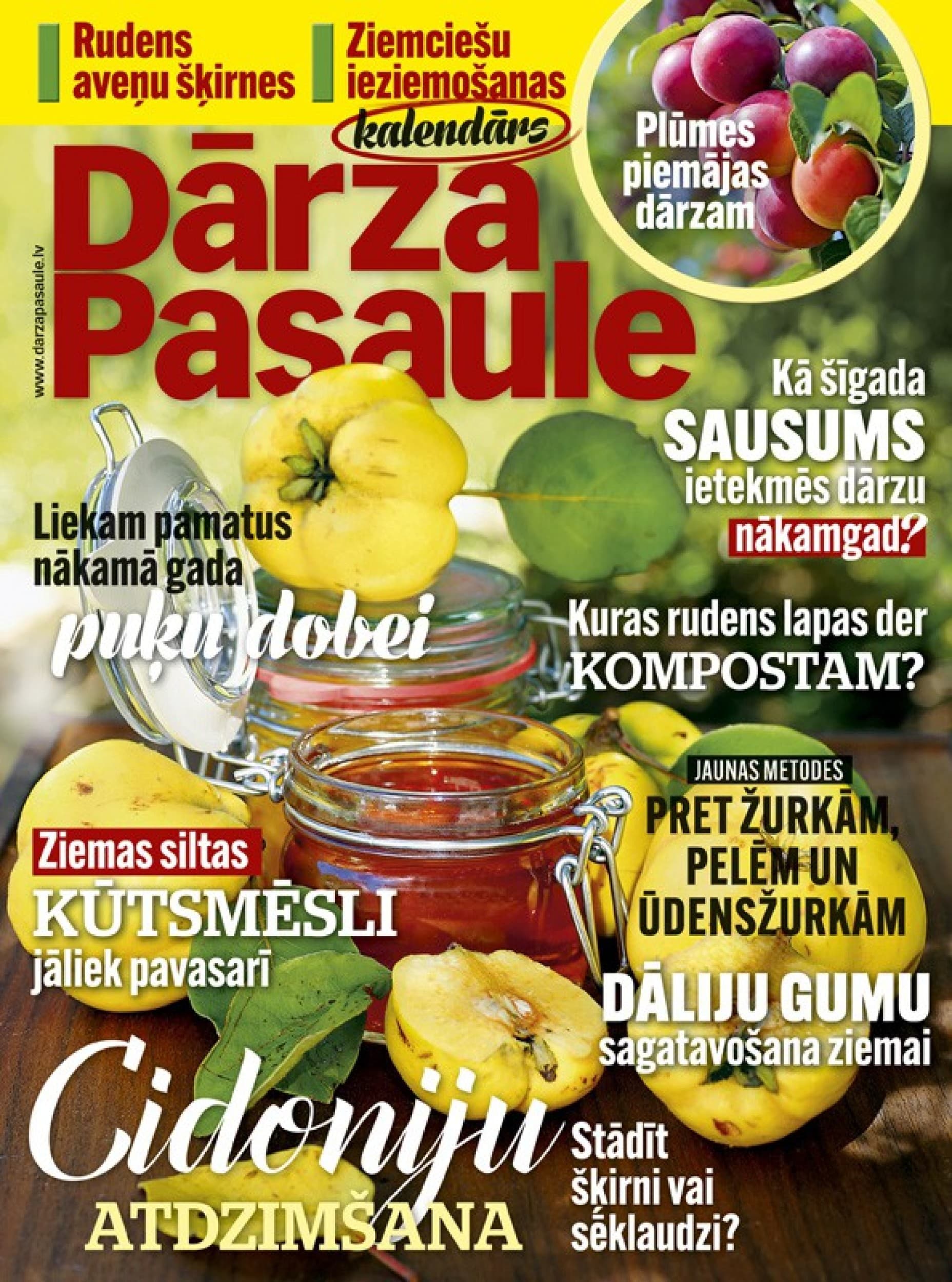 Dāvanu karte žurnāla DĀRZA PASAULE abonementam (12 mēn.)