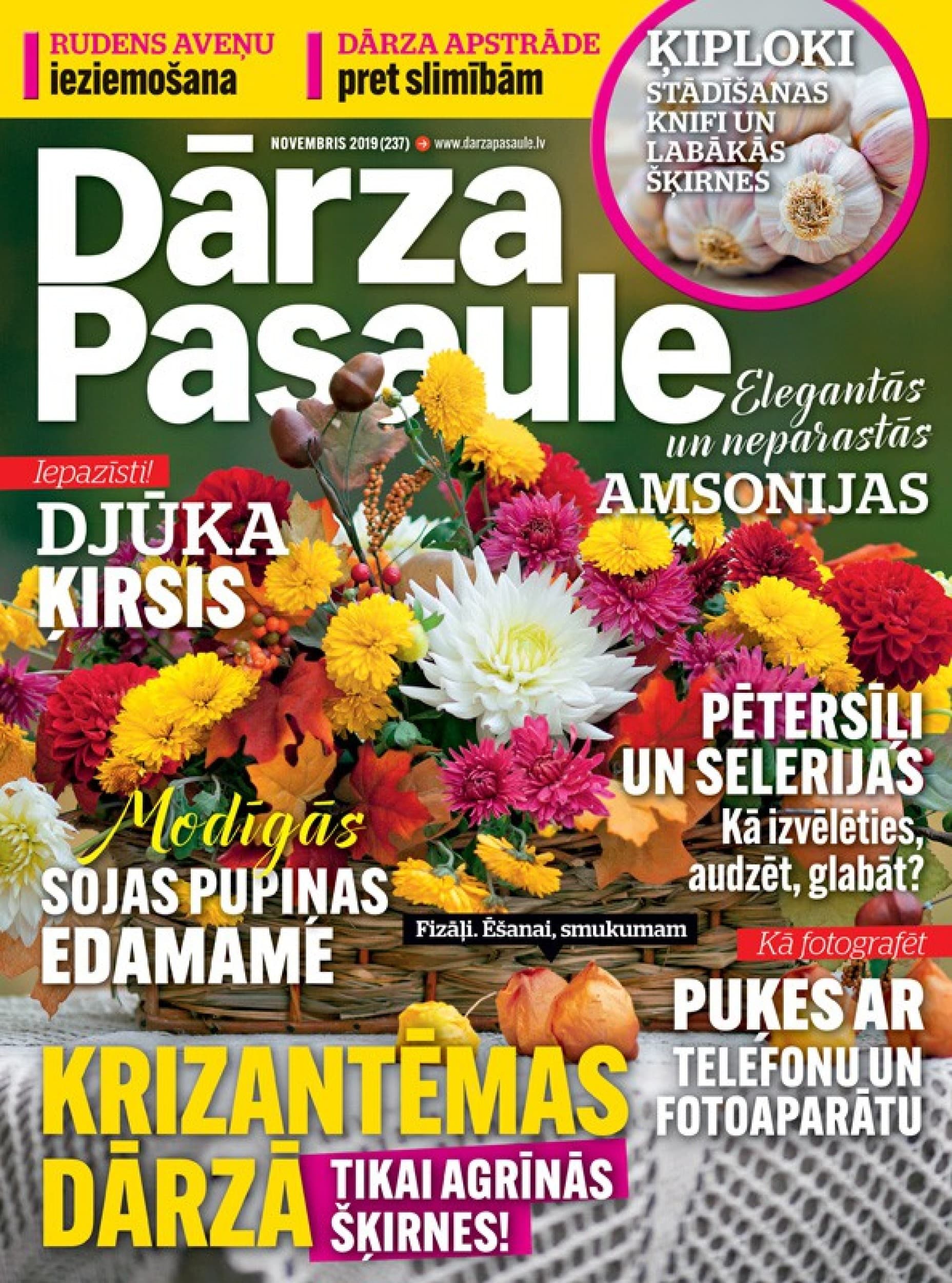 Dāvanu karte žurnāla DĀRZA PASAULE abonementam (12 mēn.)