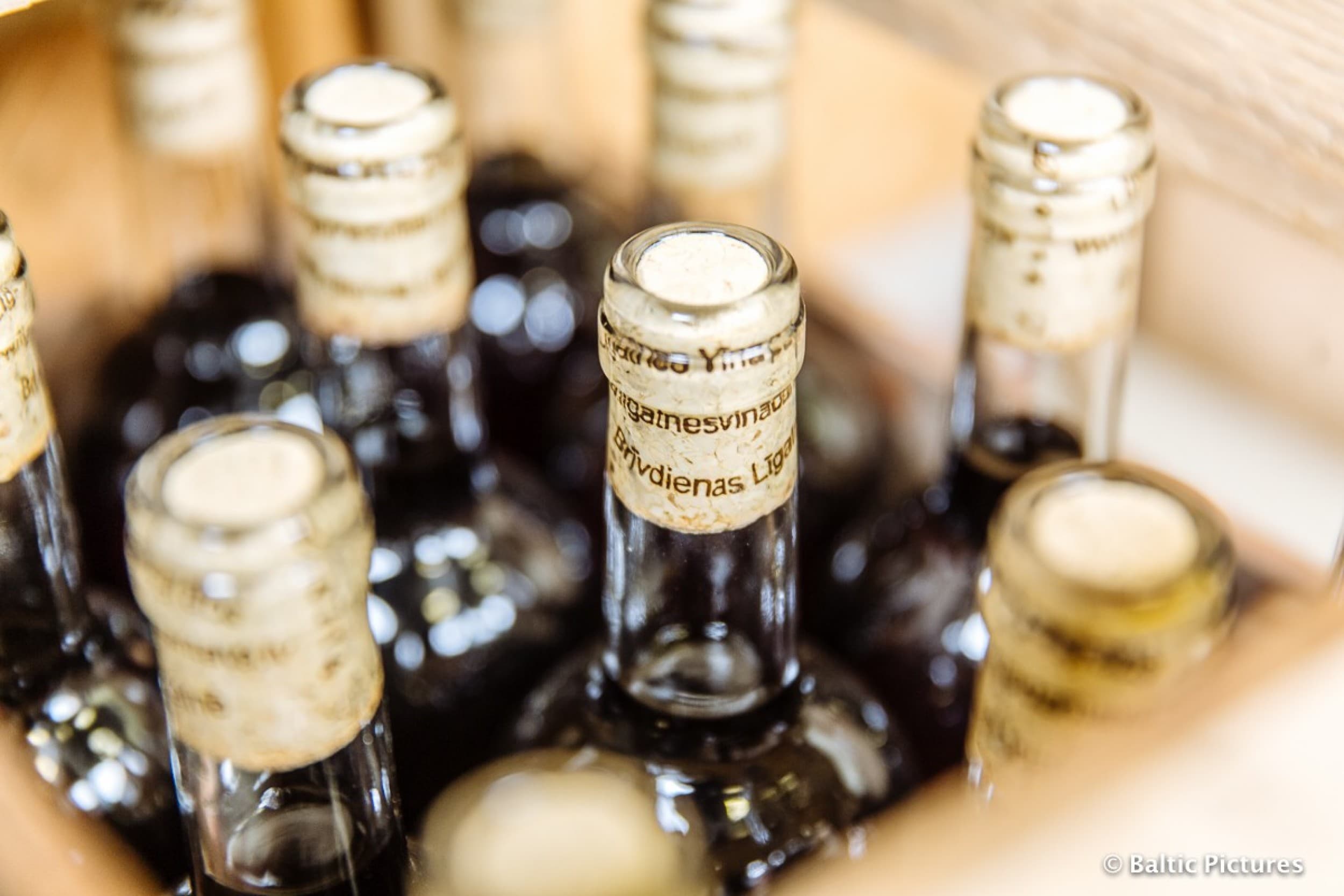 Vīna degustācija kompānijai (2 - 6 pers.)