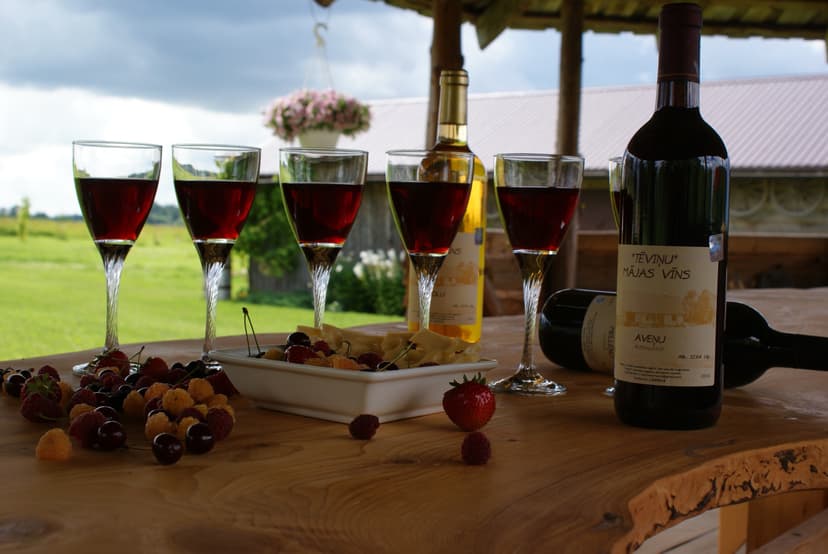 "TĒVIŅKALNA" vīna degustācija