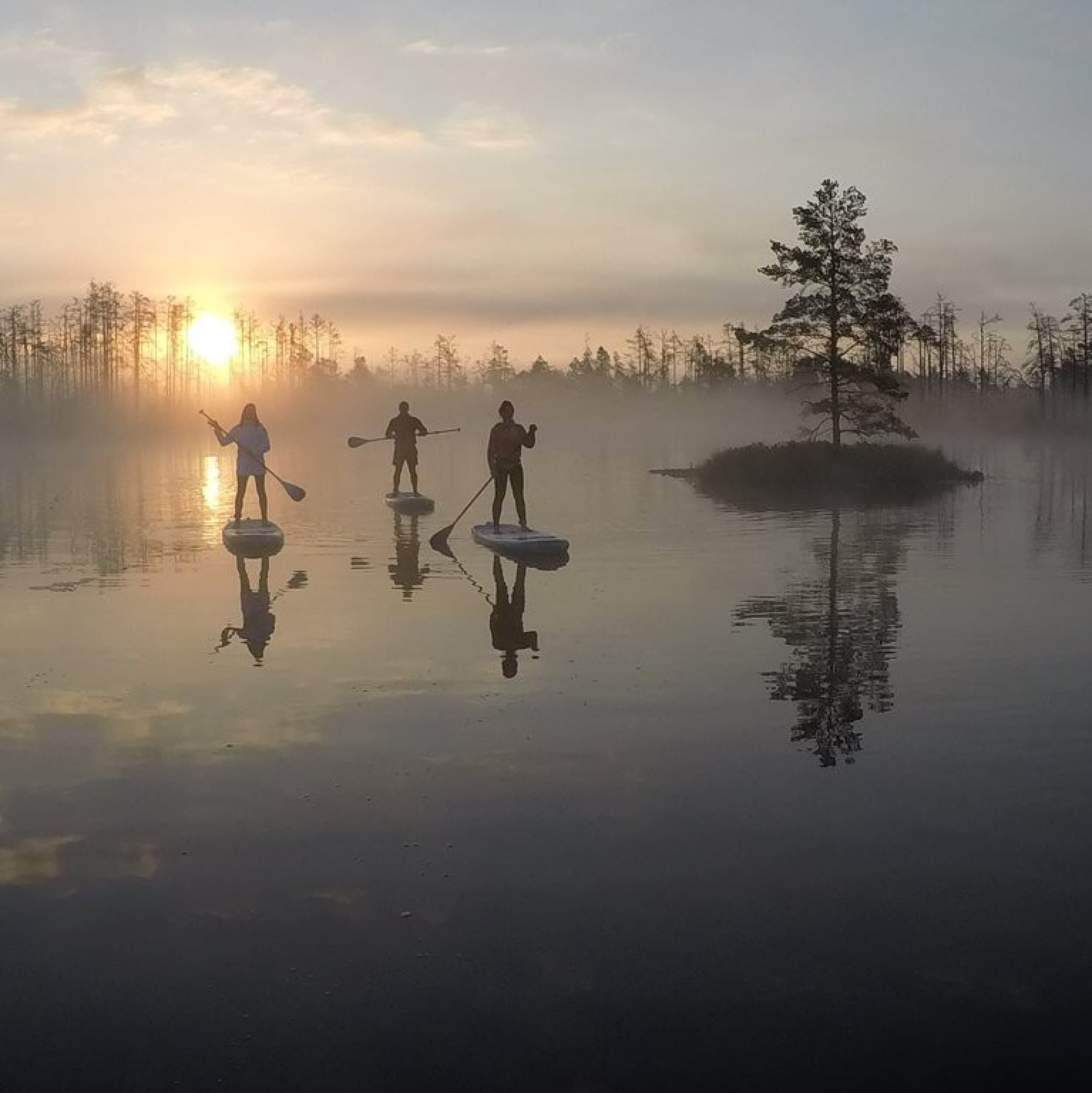 SUP piedzīvojums "Saullēkts purvā"  | Davanu Serviss
