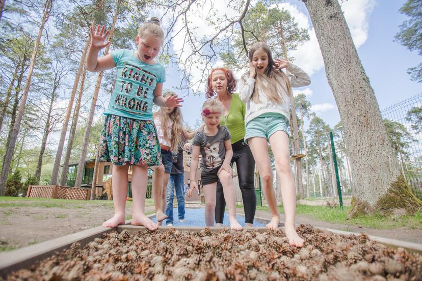 Baskāju taka Gaujas stāvo krastu Sajūtu parkā