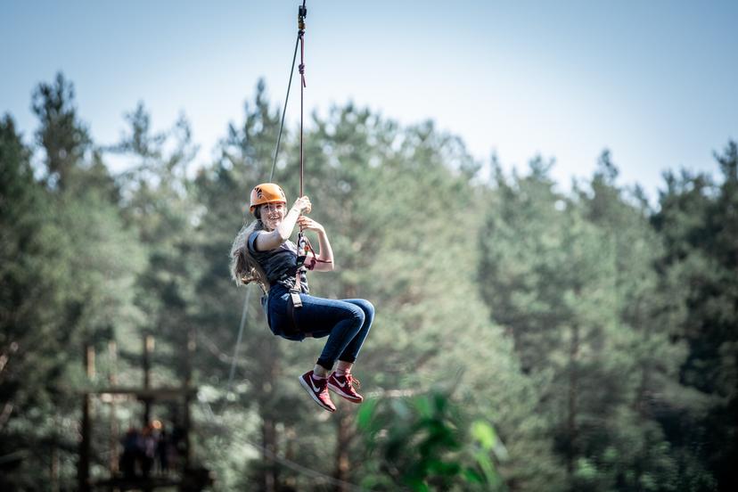 Taka kokos Gaujas stāvo krastu Sajūtu parkā