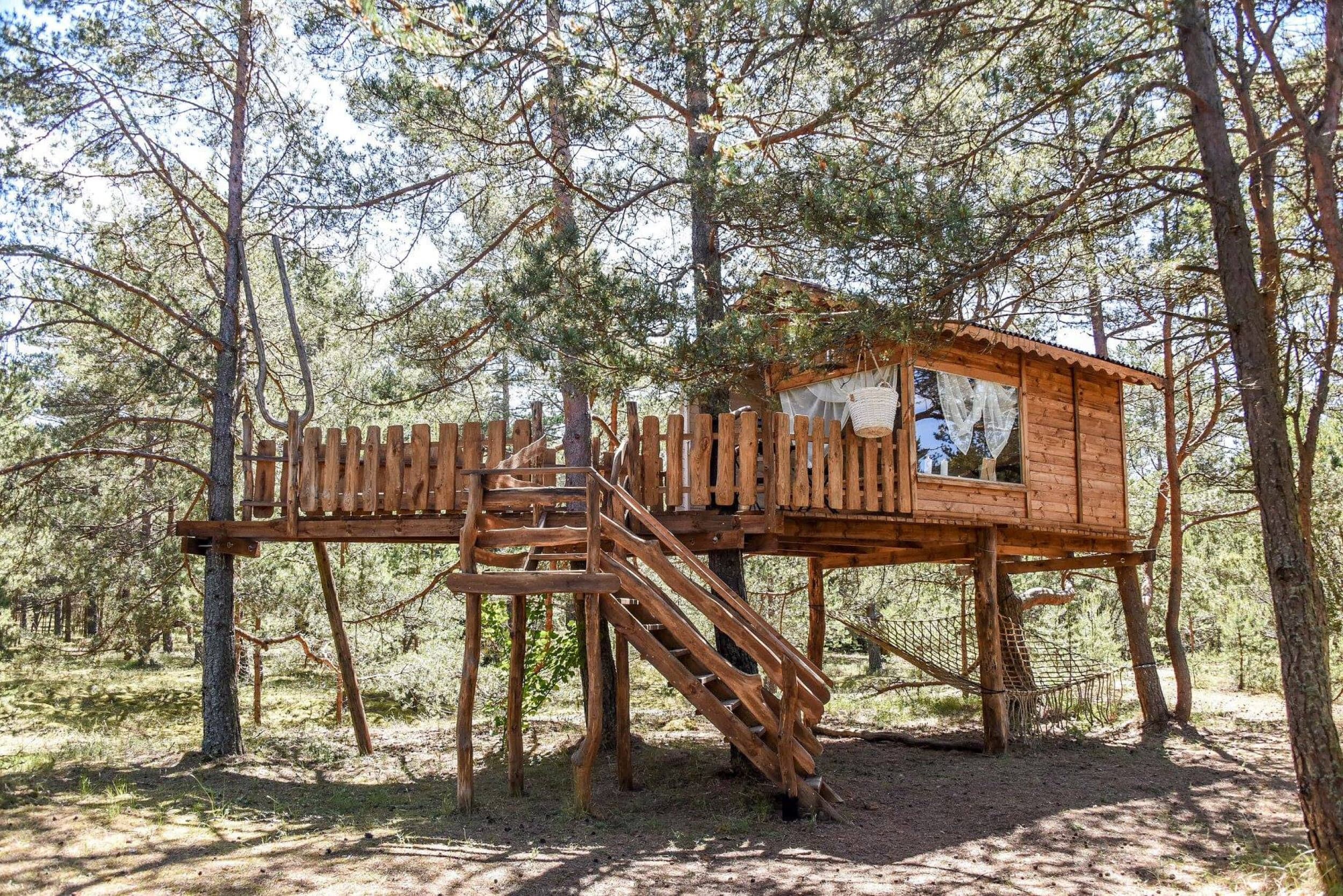 Brīvdienas namiņā kokā "Miera Ostā" diviem | Davanu Serviss