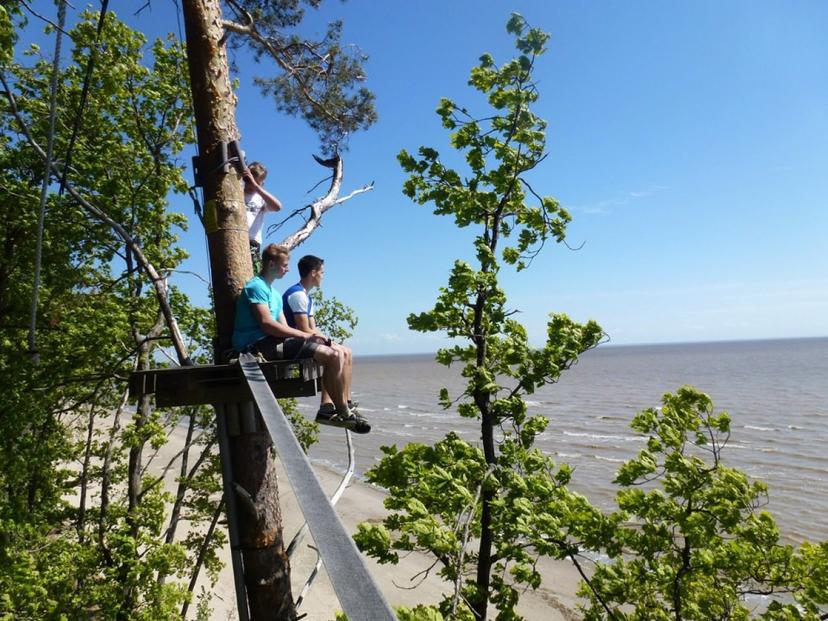 Kāpšanas takas Valgerannas Piedzīvojumu parkā (2 pers.)