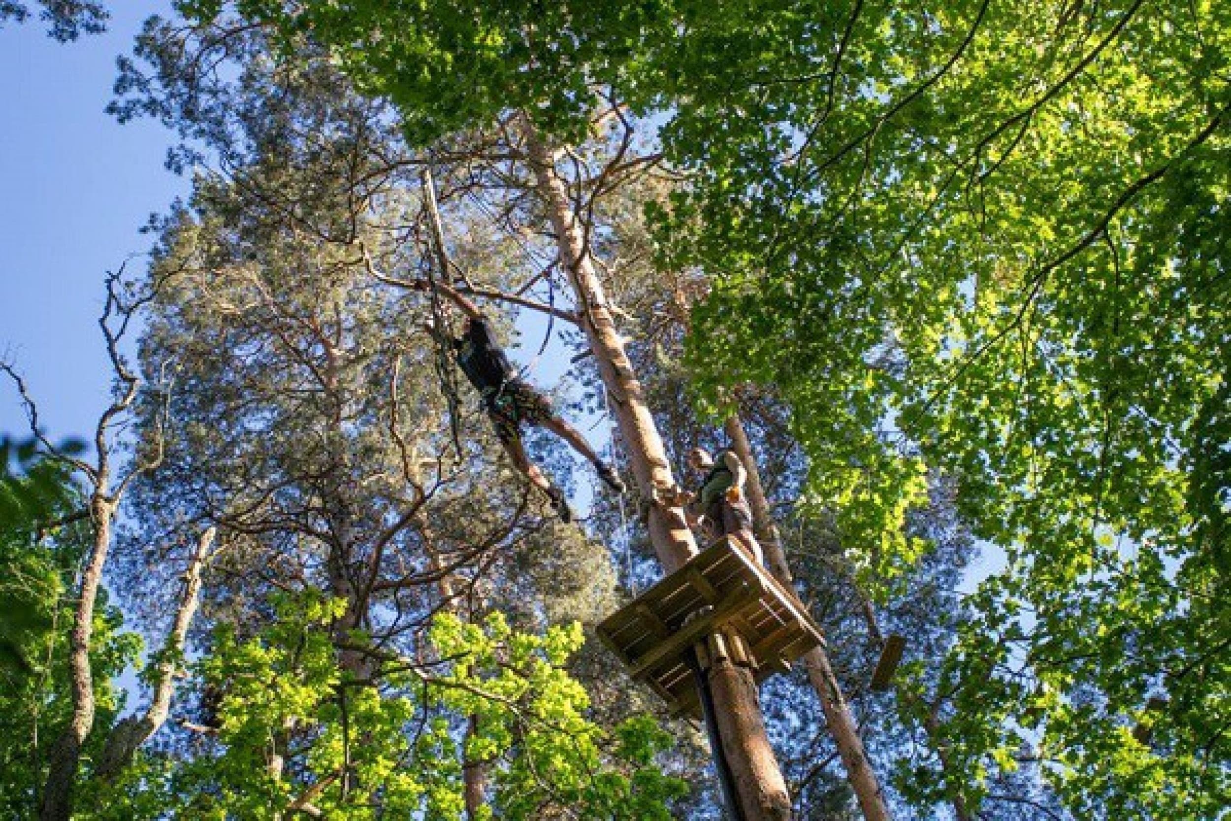 Kāpšanas takas Valgerannas Piedzīvojumu parkā (2 pers.) | Davanu Serviss