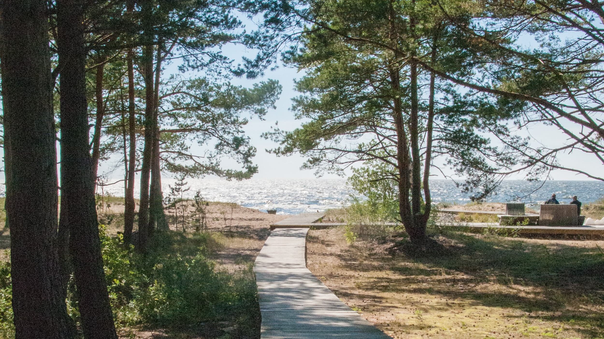 Фото квест в Салукрасты | Davanu Serviss