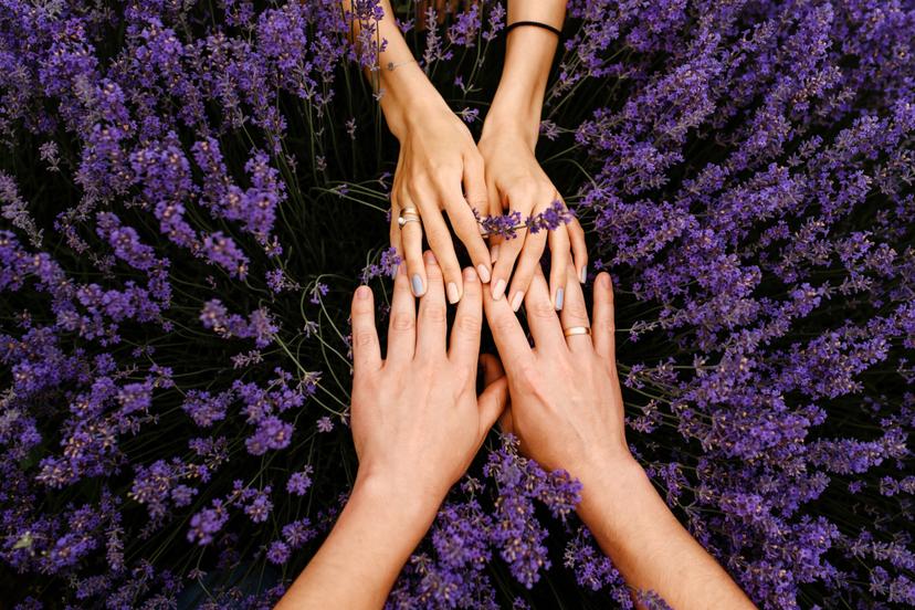 Lavandas ziedos – pasakains SPA rituāls pārim MYSPA Rīgā