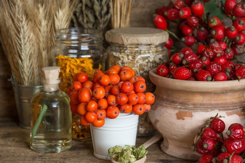 Relaksējošais pīlādžu SPA rituāls no ’’MYSPA’’ diviem              