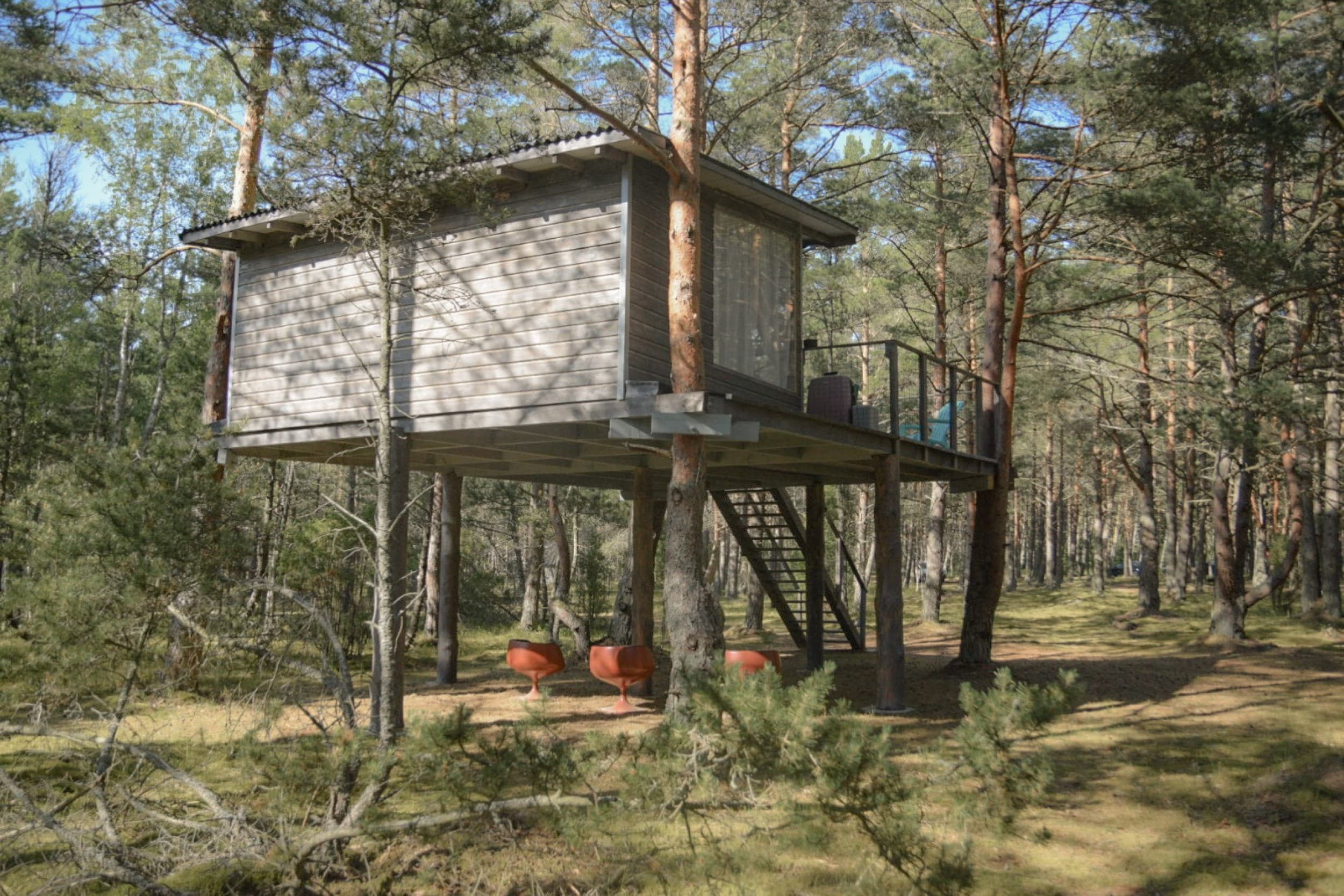 Atpūta namiņā kokā ’’Bērzu māja’’ (2-3 pers., 3 naktis) | Davanu Serviss
