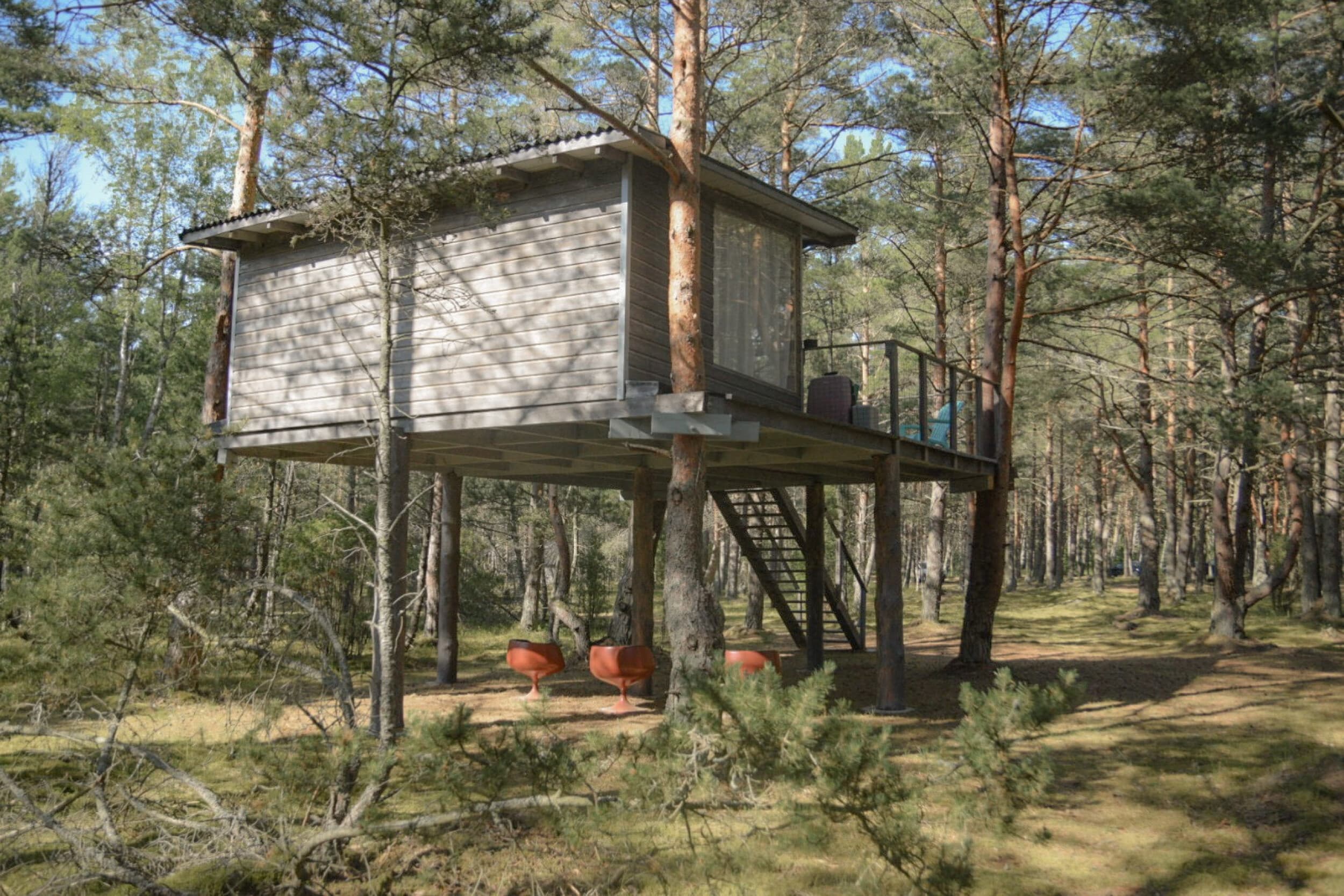 Atpūta namiņā kokā ’’Bērzu māja’’ (2-3 pers., 2 naktis)  | Davanu Serviss