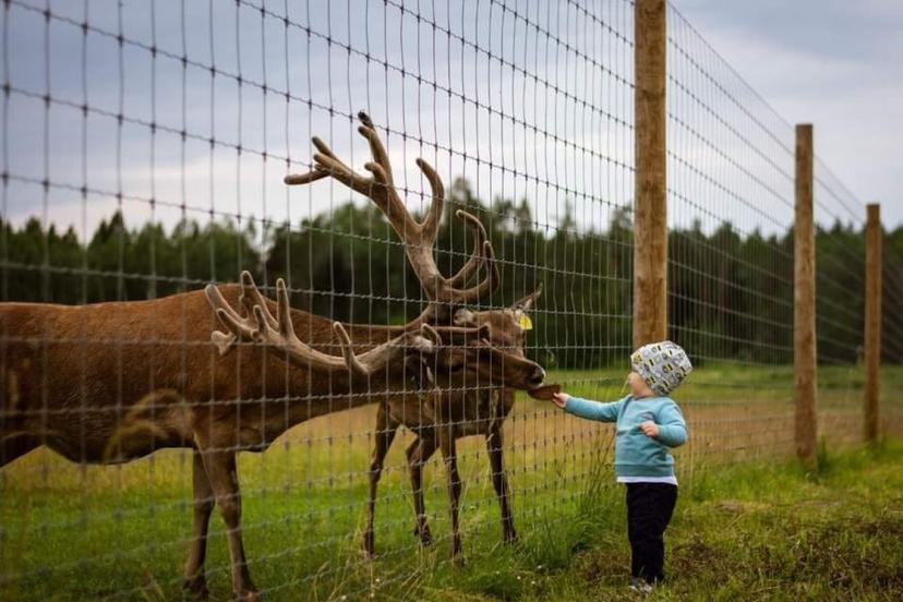 Z/S „Dobelnieki“ Briežu dārza apmeklējums un minigolfs (2 pieaugušie + 3 bērni) 