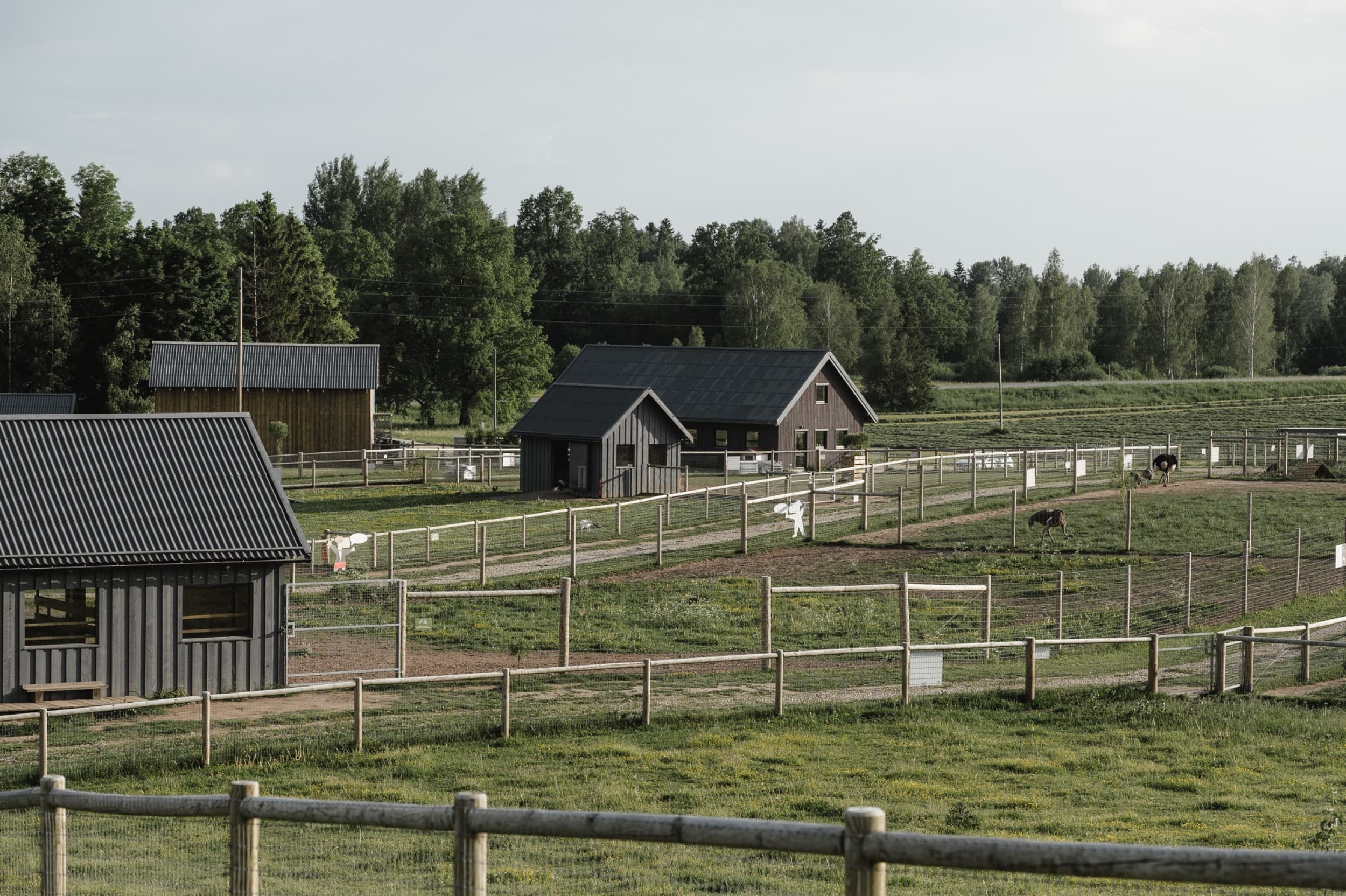 Подарочная карта на посещение Sigulda ZOO для 1–4 человек