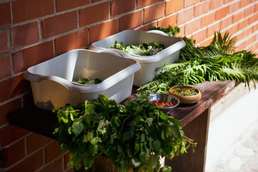 Atjaunojošs pirts rituāls pirtī "PieEvitas" 