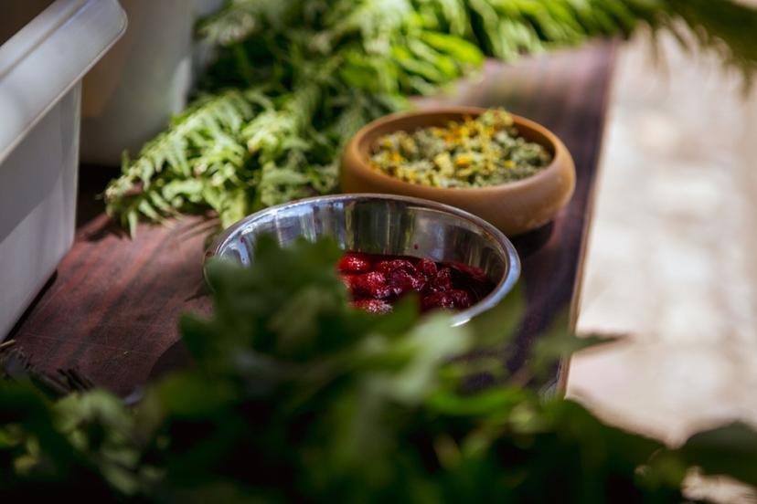 Ķermeņa skrubēšana un visa ķermeņa masāža pirtiņā "PieEvitas"