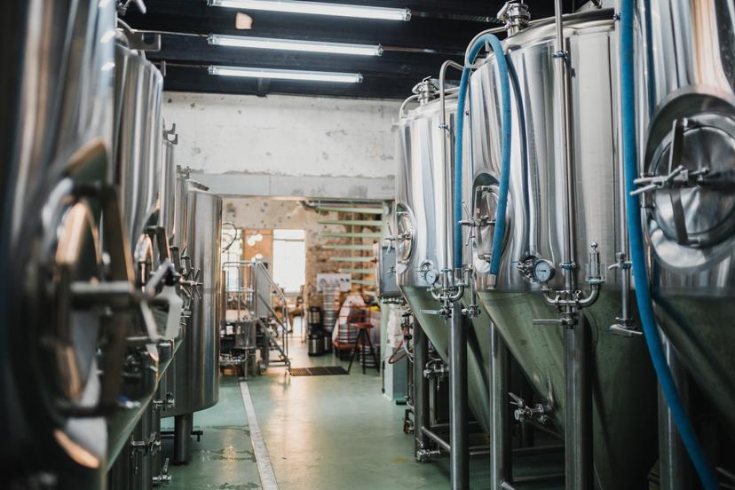 Ekskursija + alus degustācija "Brūzis Manufaktūra" (2 pers.)