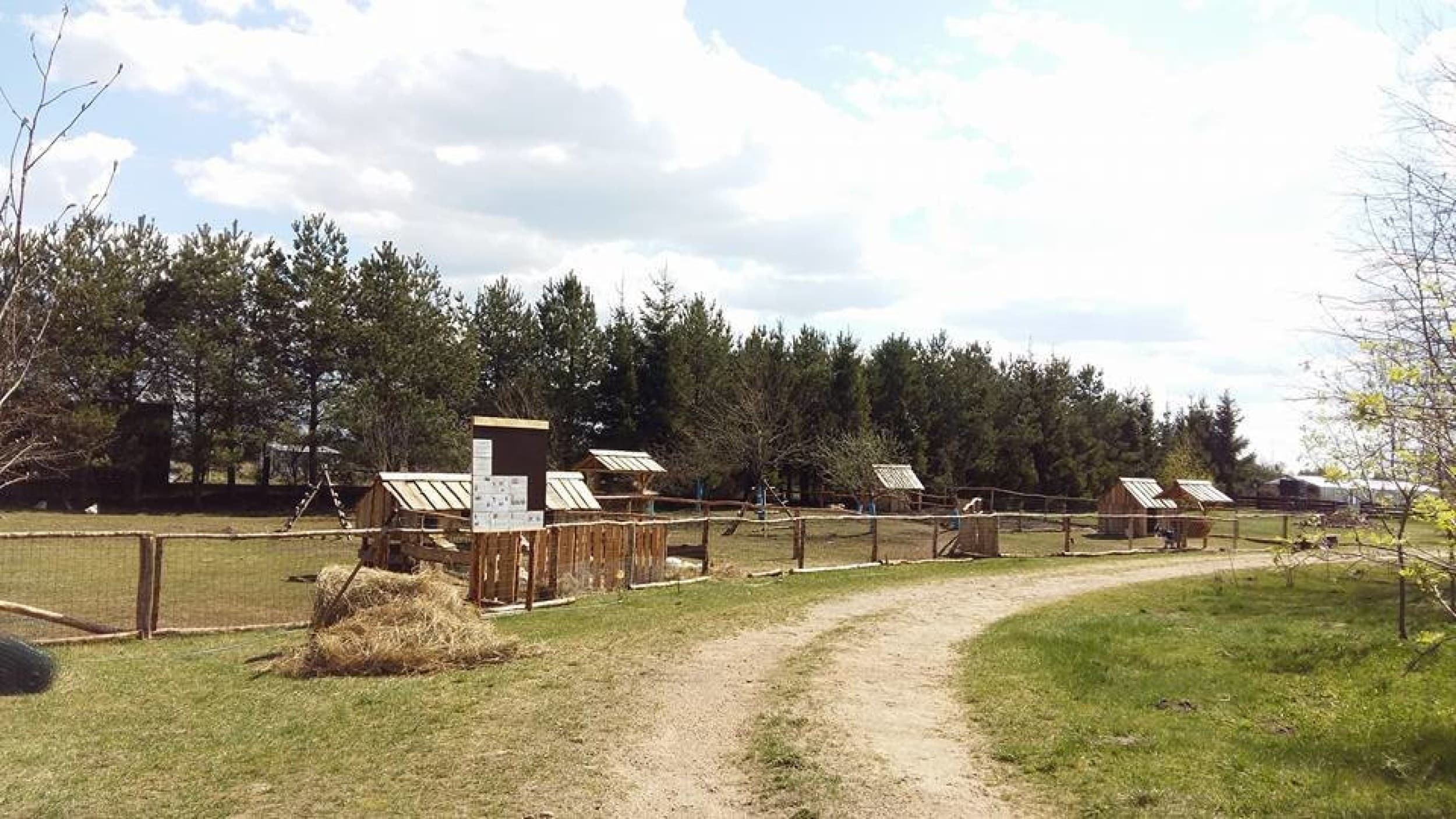 Skaista atpūta pie Ventspils ar Mini Zoo ģimenei (4 pers.)