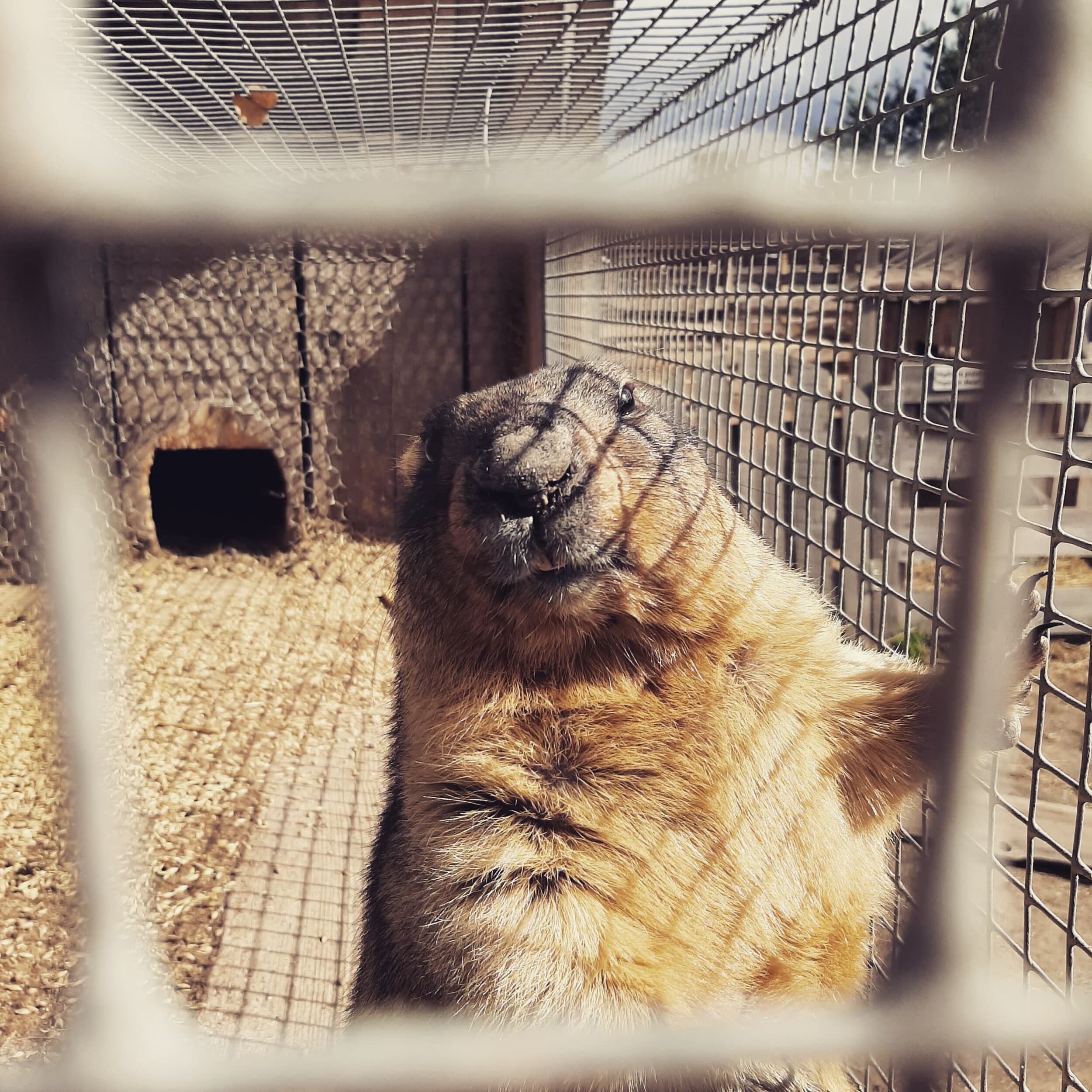 Skaista atpūta pie Ventspils ar Mini Zoo ģimenei (4 pers.)