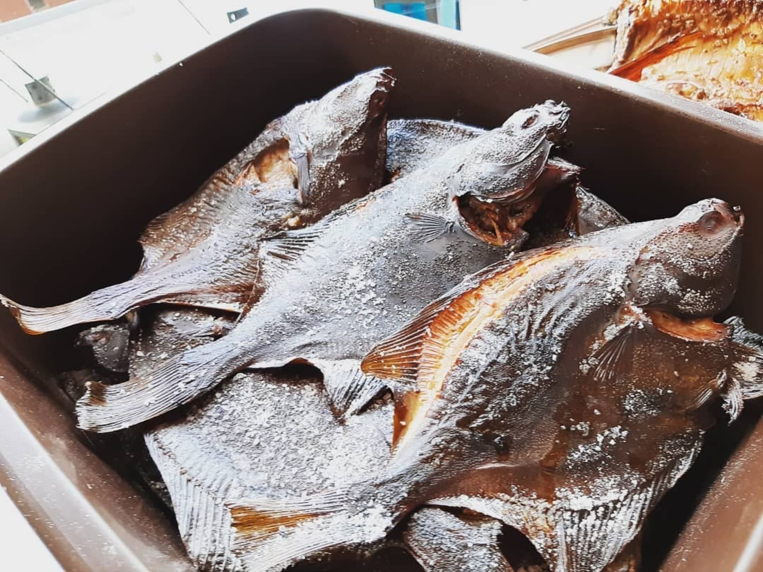 Skaista atpūta pie Ventspils ar Mini Zoo ģimenei (4 pers.)