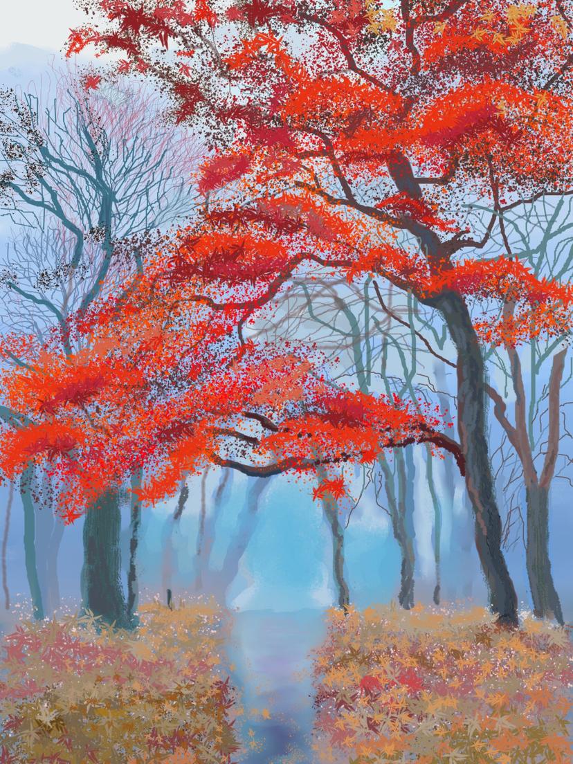 Digitālās mākslas nodarbība iesācējiem mākslas studijā (1 pers., 2,5h, Rīga)