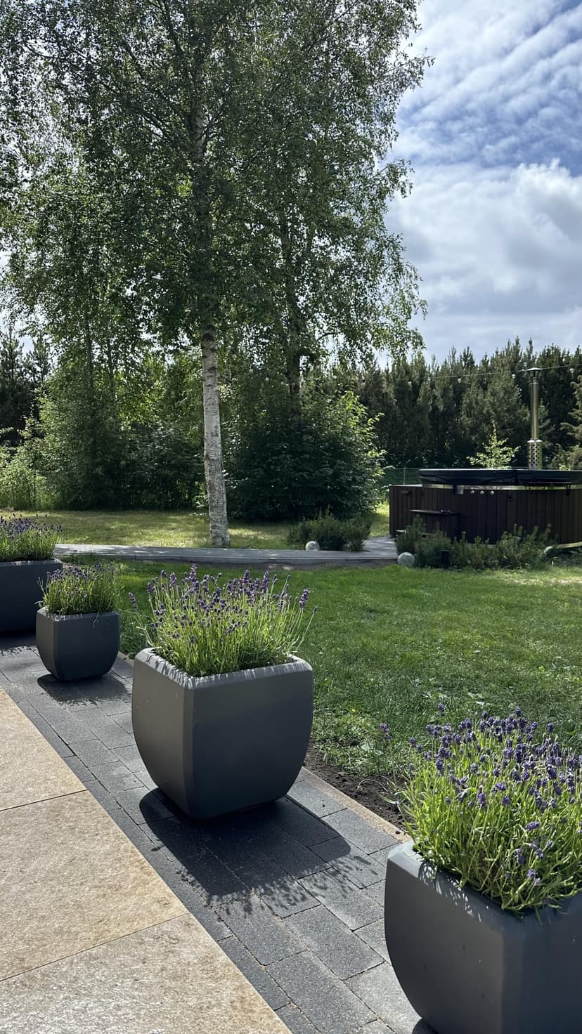 Relaksējoša atpūta Ando villā ar pirti (6 pers., darba dienās)