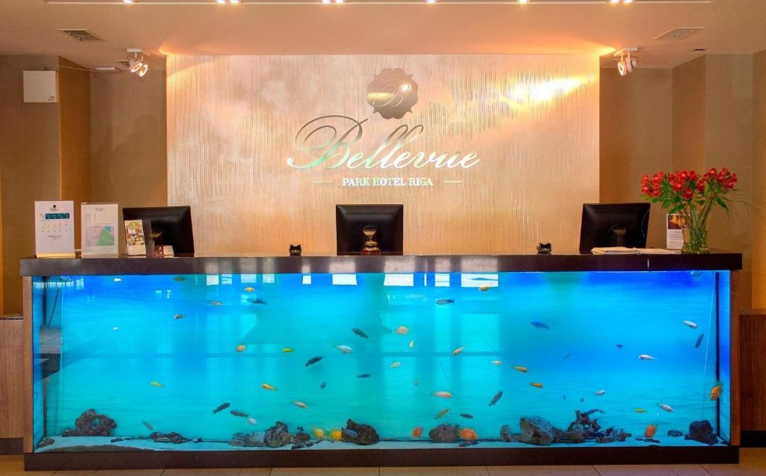 SPA и итальянский ужин для одного – Bellevue Park Hotel Riga | Davanu Serviss