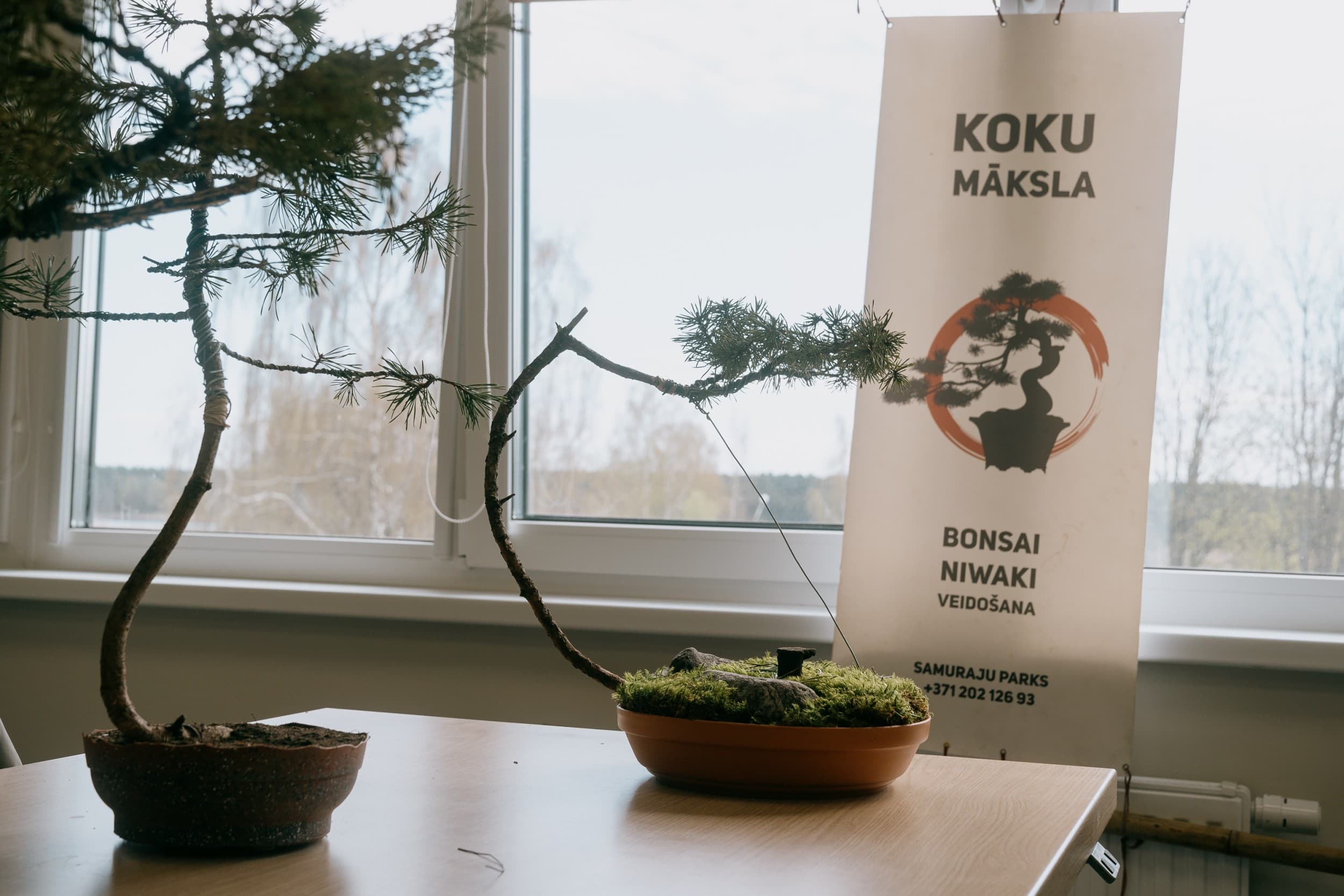 Pieaugušo Tālākizglītības centra “Bulduri” dāvanu karte | Davanu Serviss