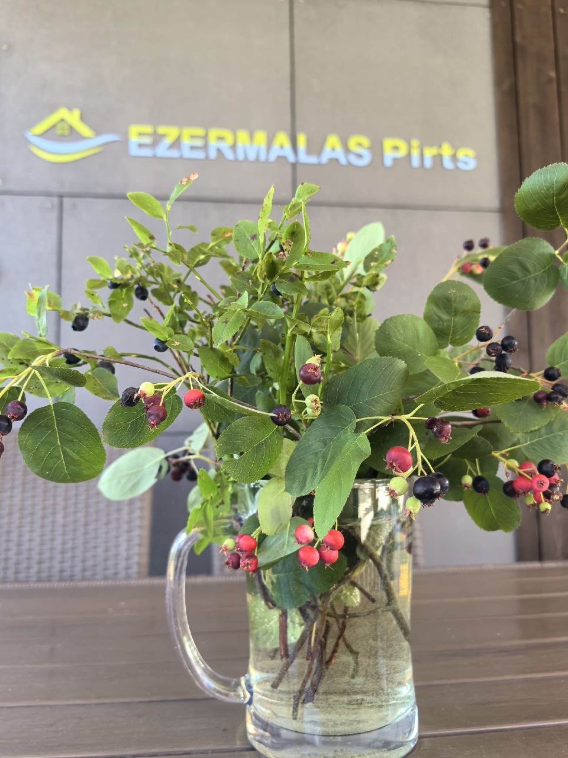 Отдых в бане "Ezermalas Pirts" недалеко от Риги для компании 