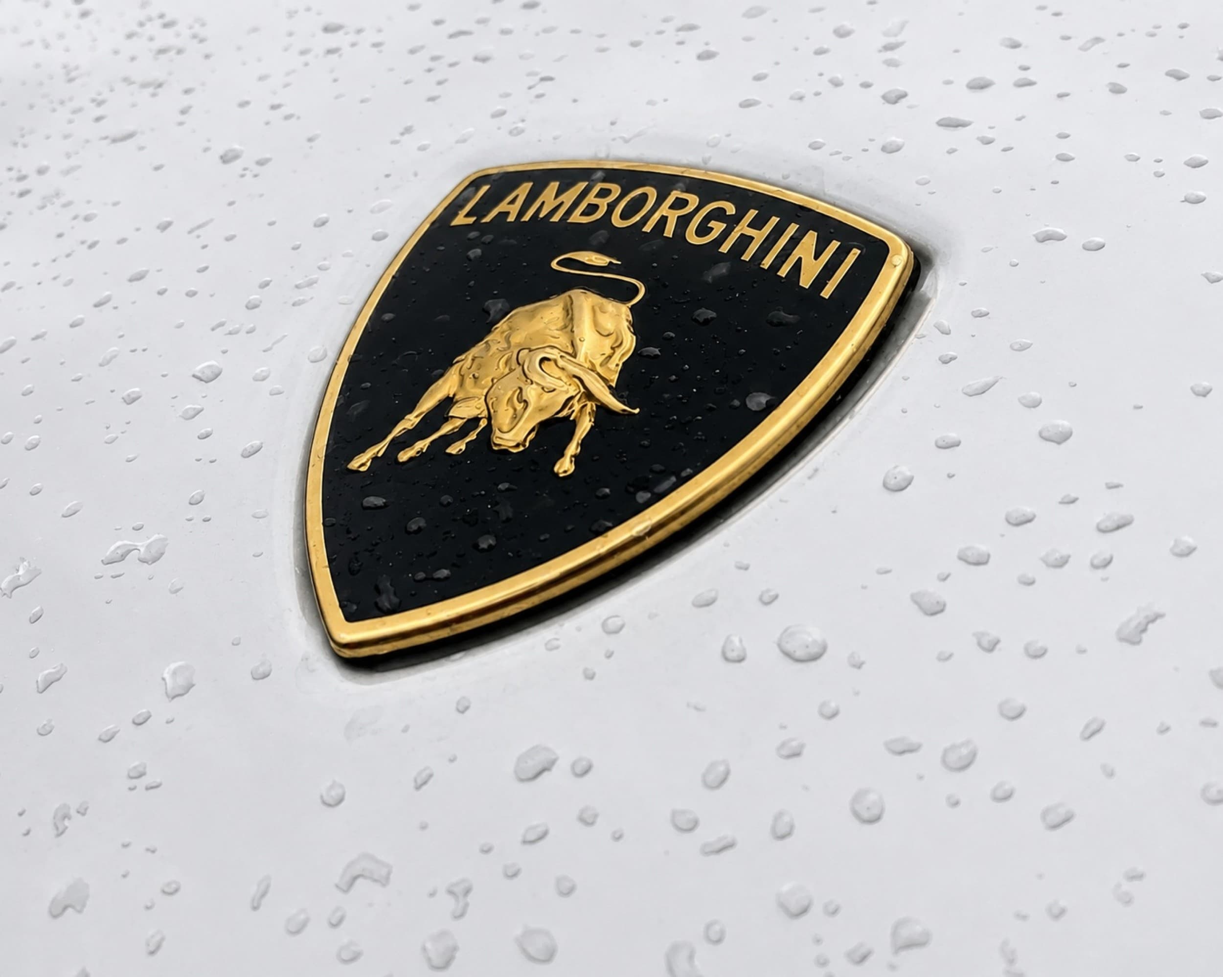 SuperDrive: Ferrari vai Lamborghini stūrēšana (6 apļi) | Davanu Serviss