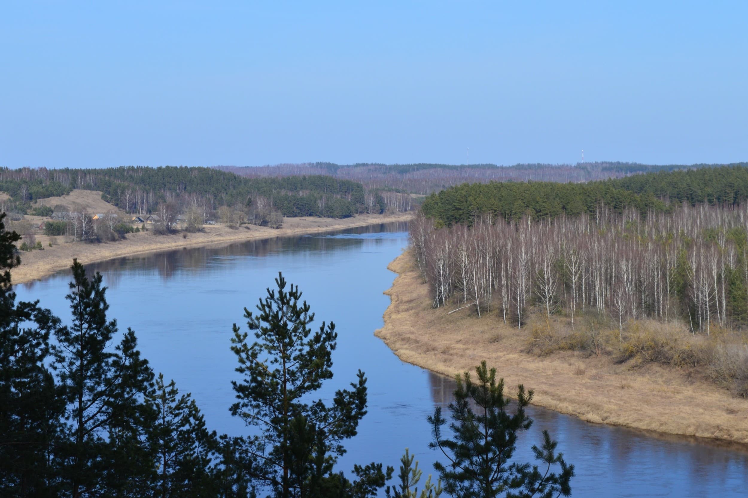 Прогулка на большом плоту по природному парку «Daugavas loki» (до 12 перс.) | Davanu Serviss