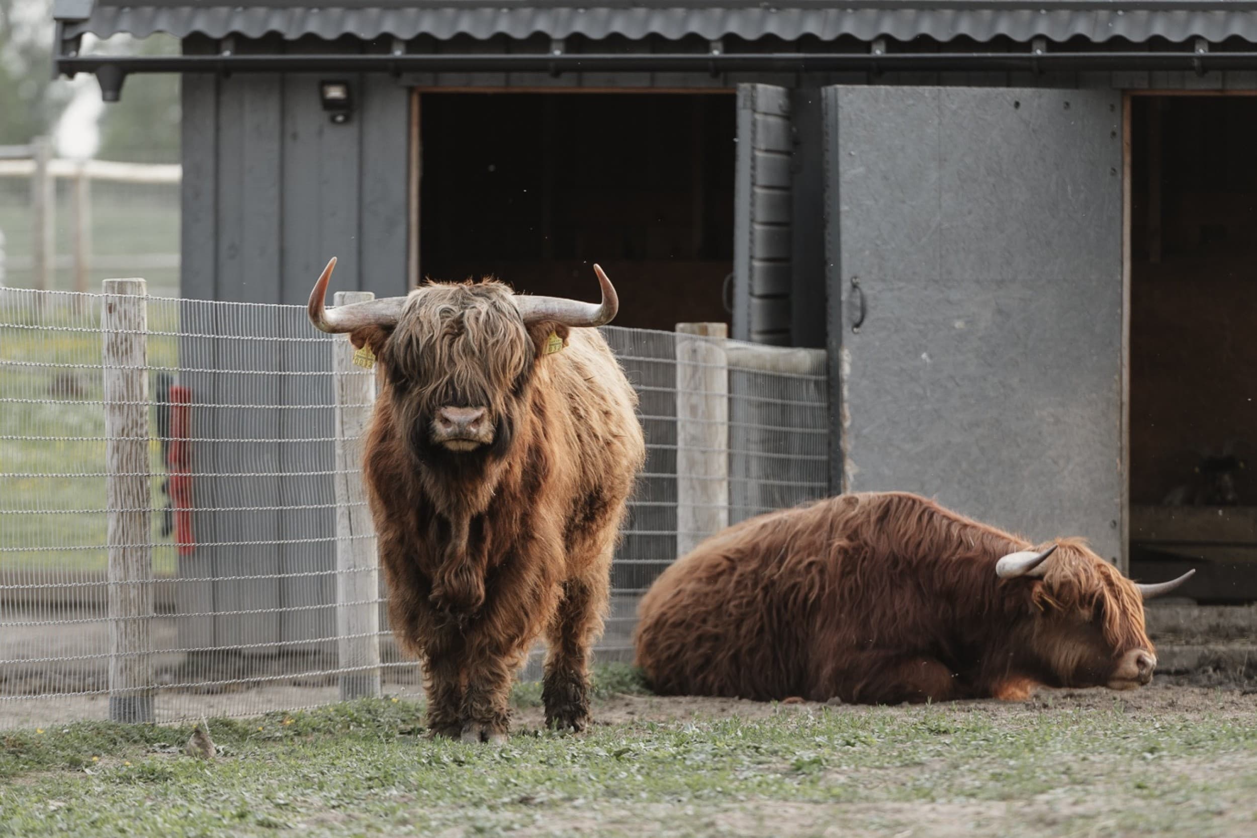 Посещение Sigulda ZOO – семейный отдых для 3 человек
