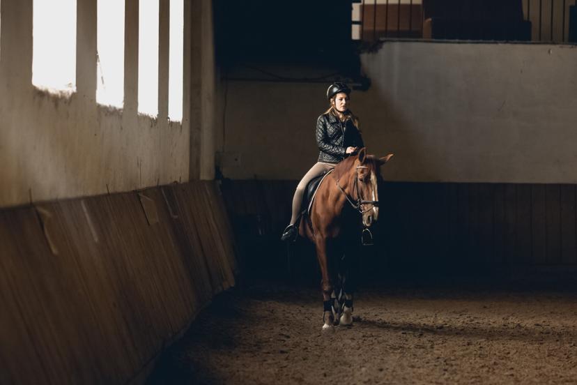 Jāšanas pamatkursi zirgu sētā "Dārziņi" (5 nodarbības)