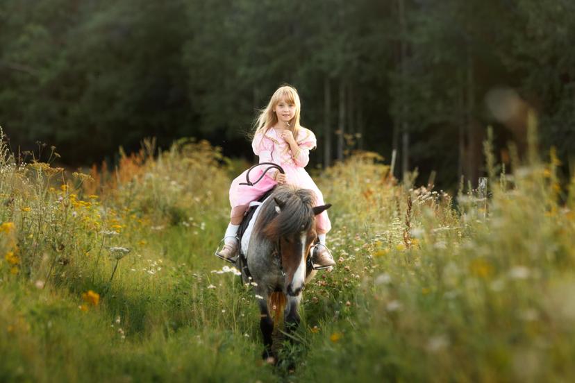 Izjāde ar poniju Pierīgā 