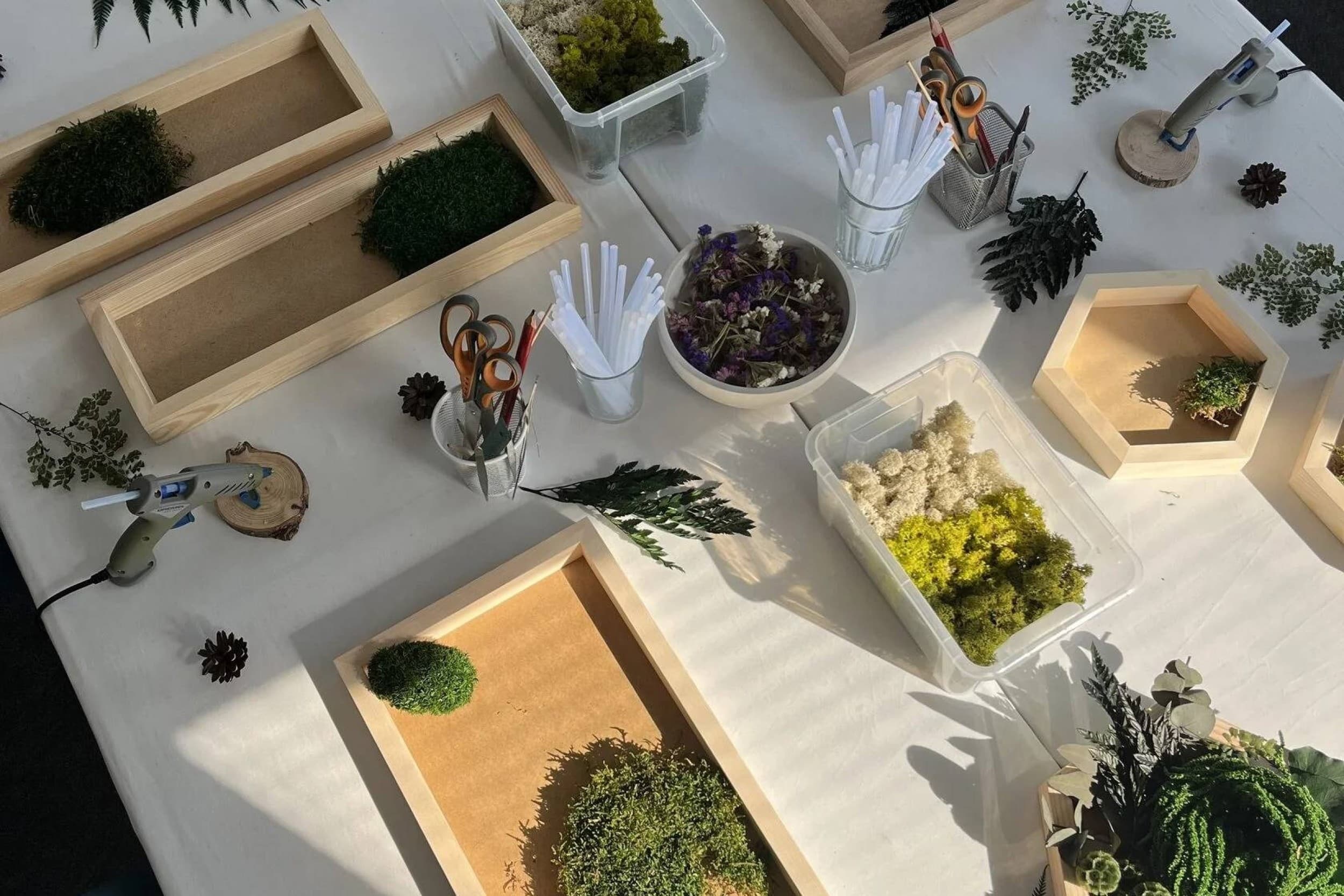 Эко-арт мастер-класс от «Moss Art Studio»: квадратная картина из мха