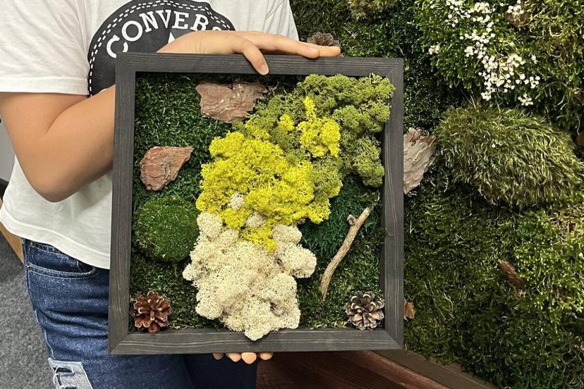 "Moss Art Studio" eko mākslas meistarklase: kvadrātveida sūnu glezna 