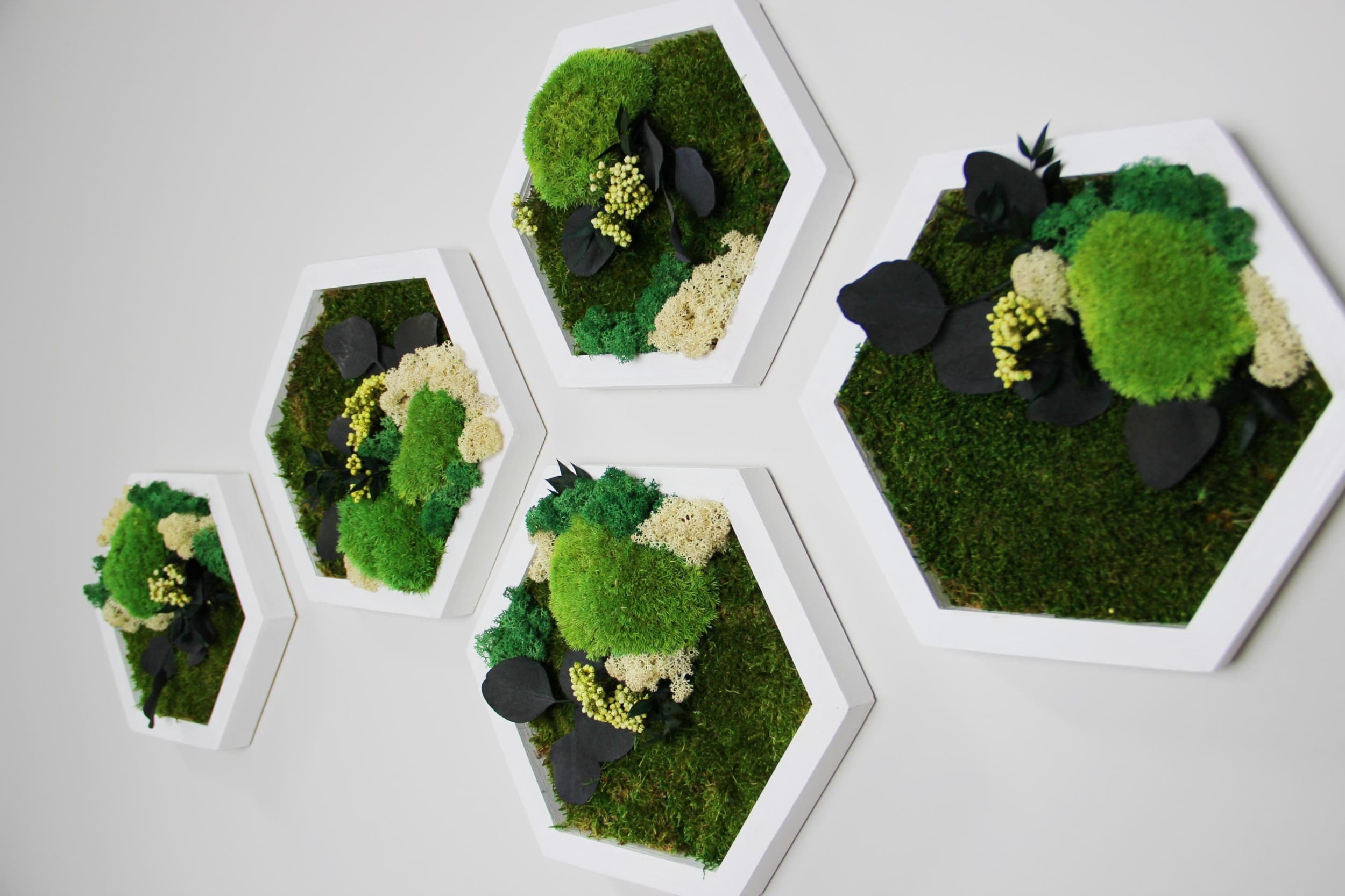 "Moss Art Studio" dāvanu karte