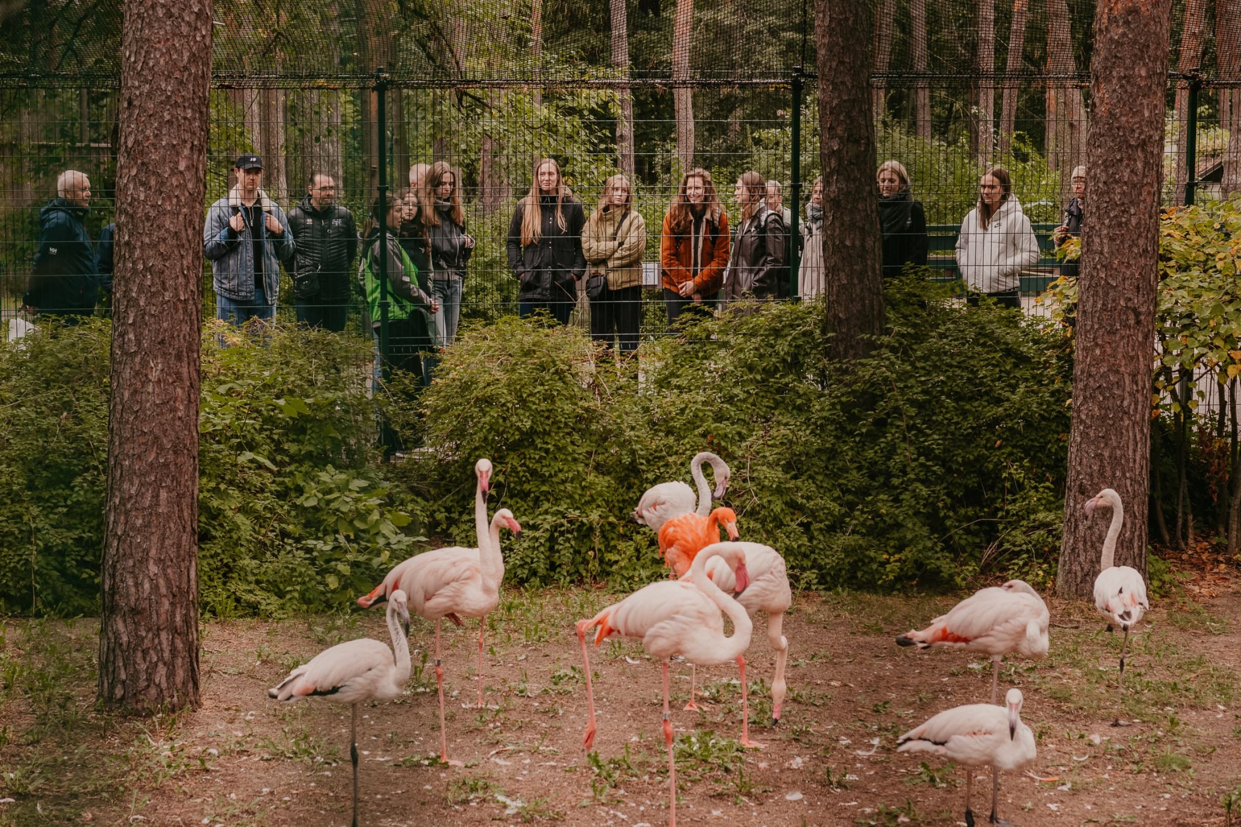 Экскурсия «По следам знаменитостей Rīga ZOO» для ГРУППЫ до 20 чел.