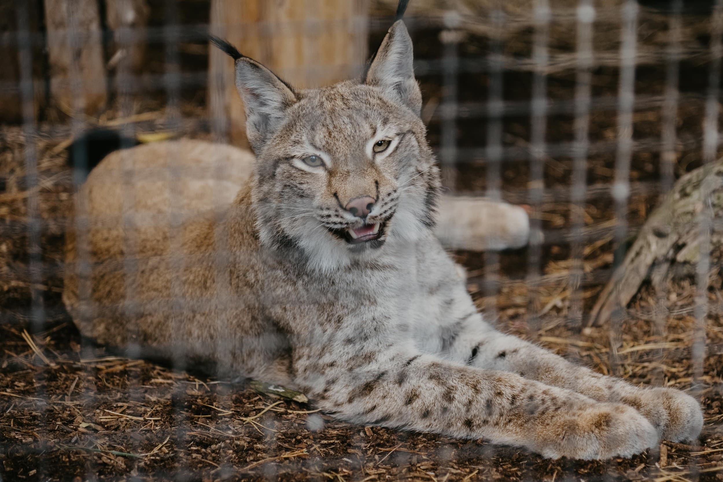 Экскурсия «По следам знаменитостей Rīga ZOO» для ГРУППЫ до 20 чел.