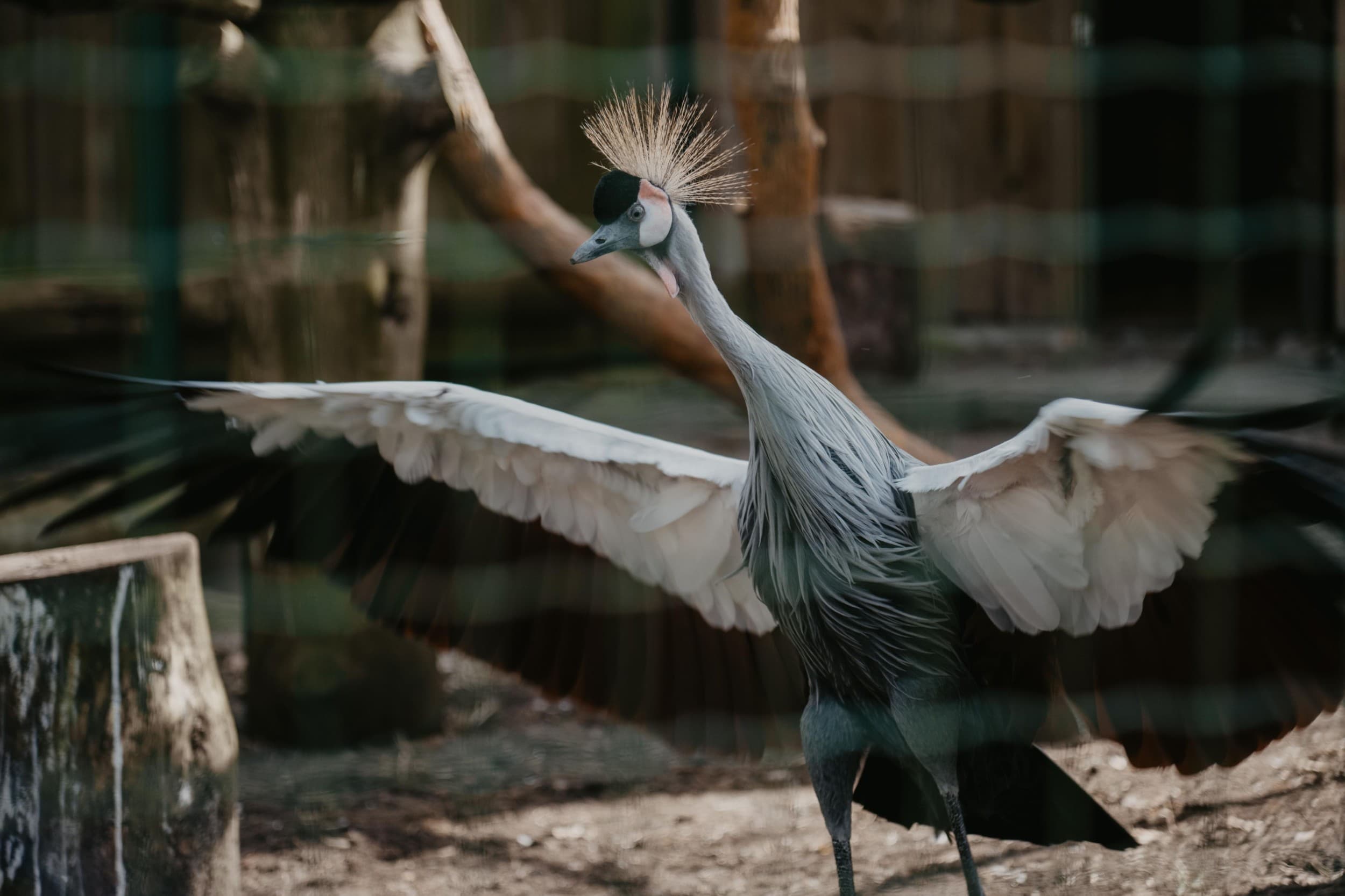 Веселый и познавательный день рождения в Rīga ZOO