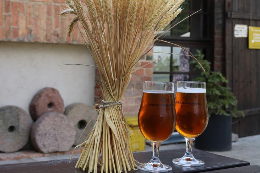 Atpūta "Rundāles ūdensdzirnavās": muzejs un svaigi brūvēts alus diviem