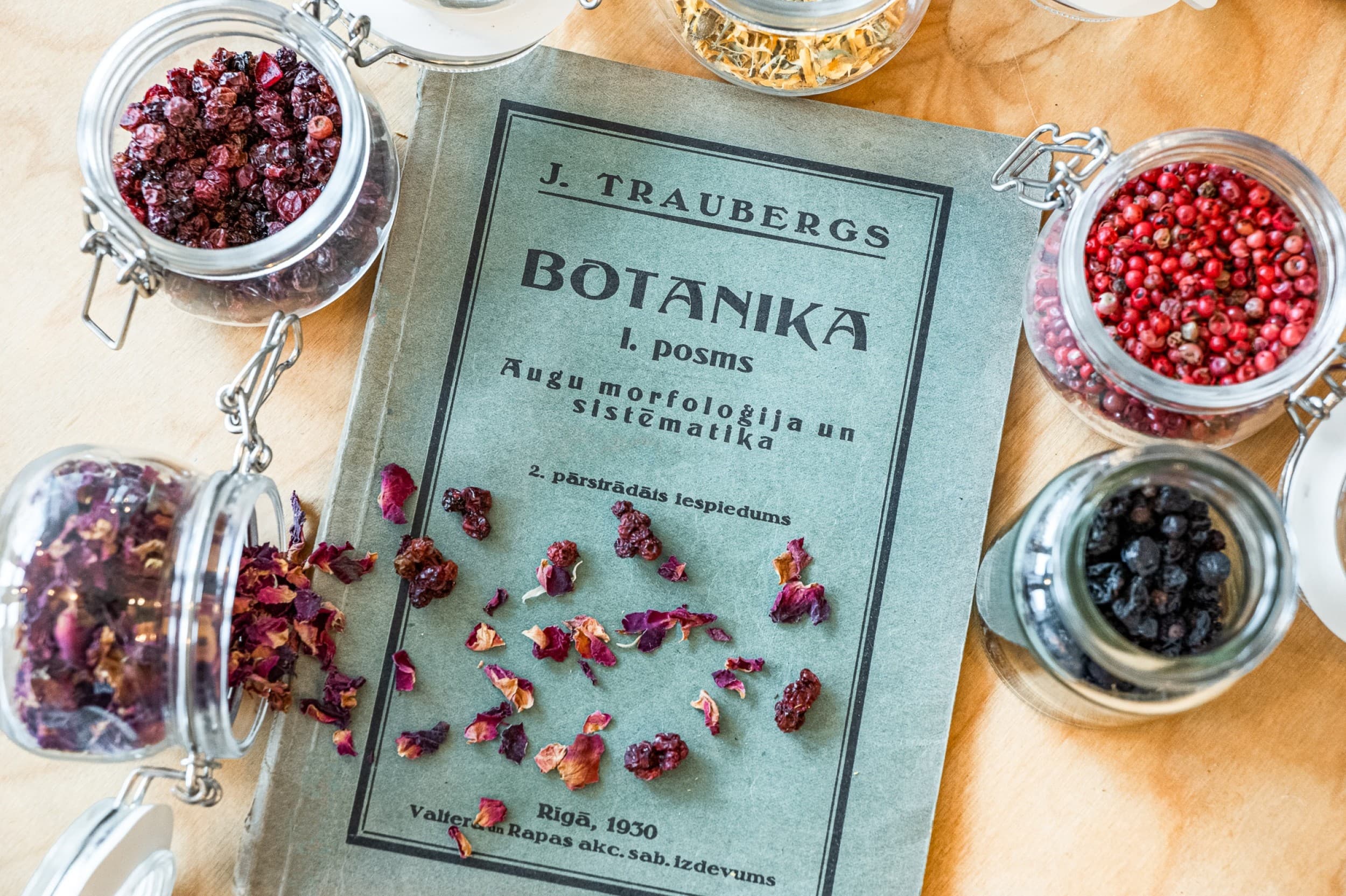 ŌBDO craft džina darītava: ekskursija un degustācija Rīgā | Davanu Serviss