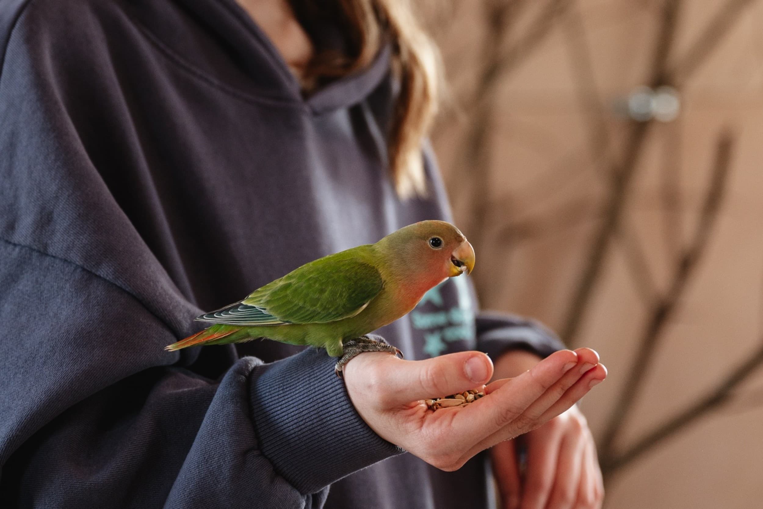 Sigulda ZOO и посещение Дома попугаев для взрослого