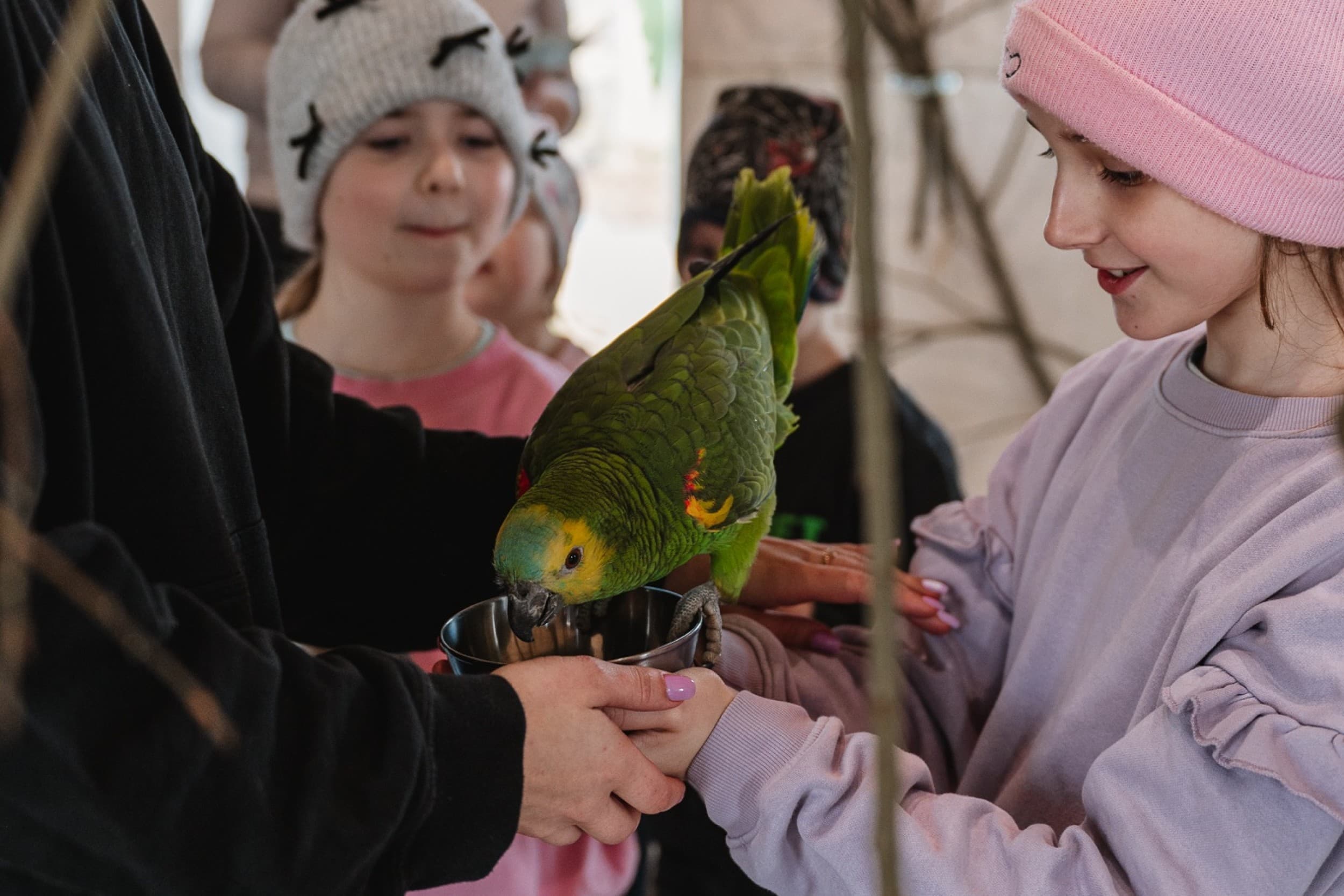 Sigulda ZOO и посещение Дома попугаев для ребенка (3–17 лет)