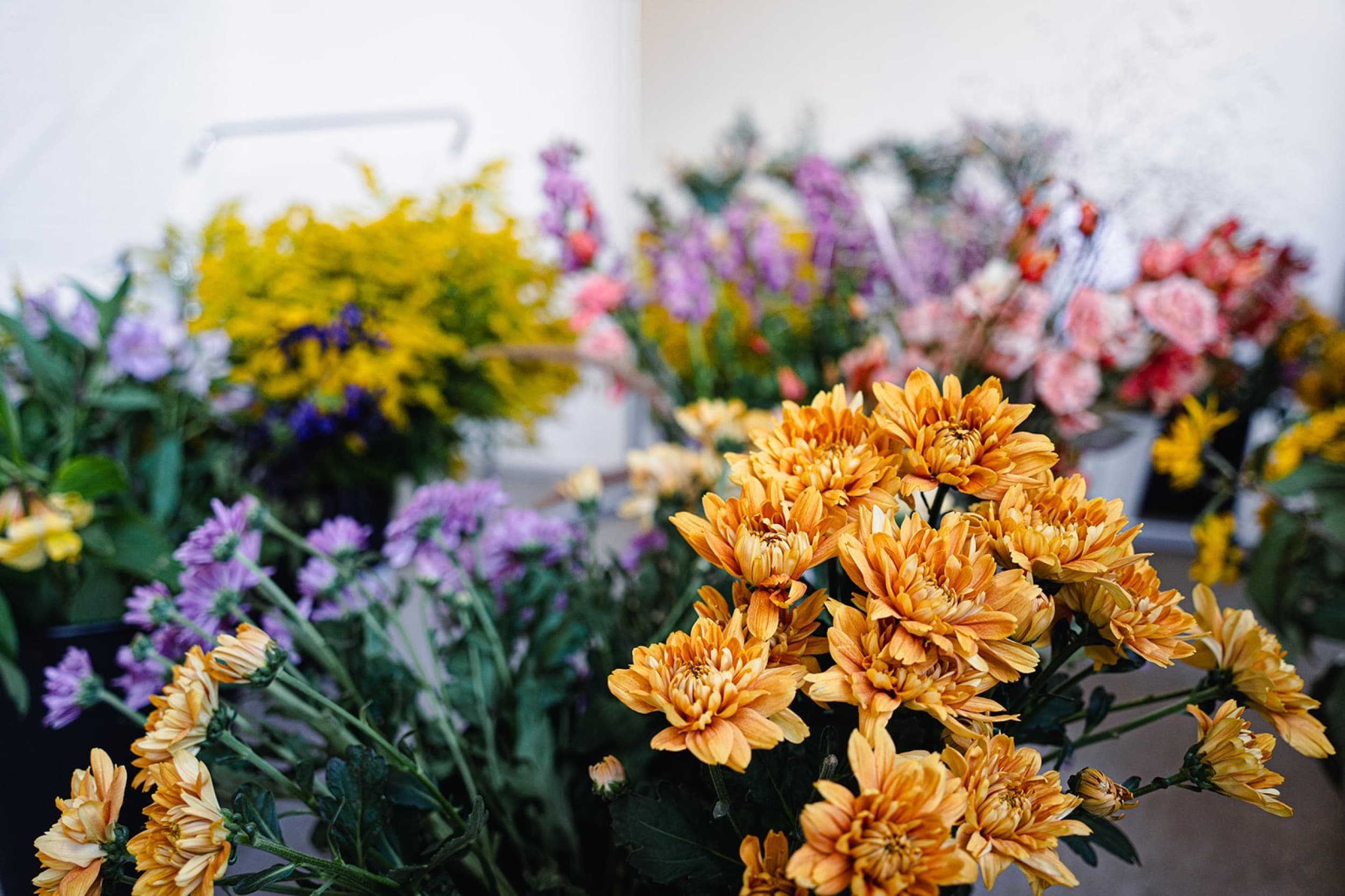 Flowers x bubbles – ziedu meistarklase Lemont studio Rīgā