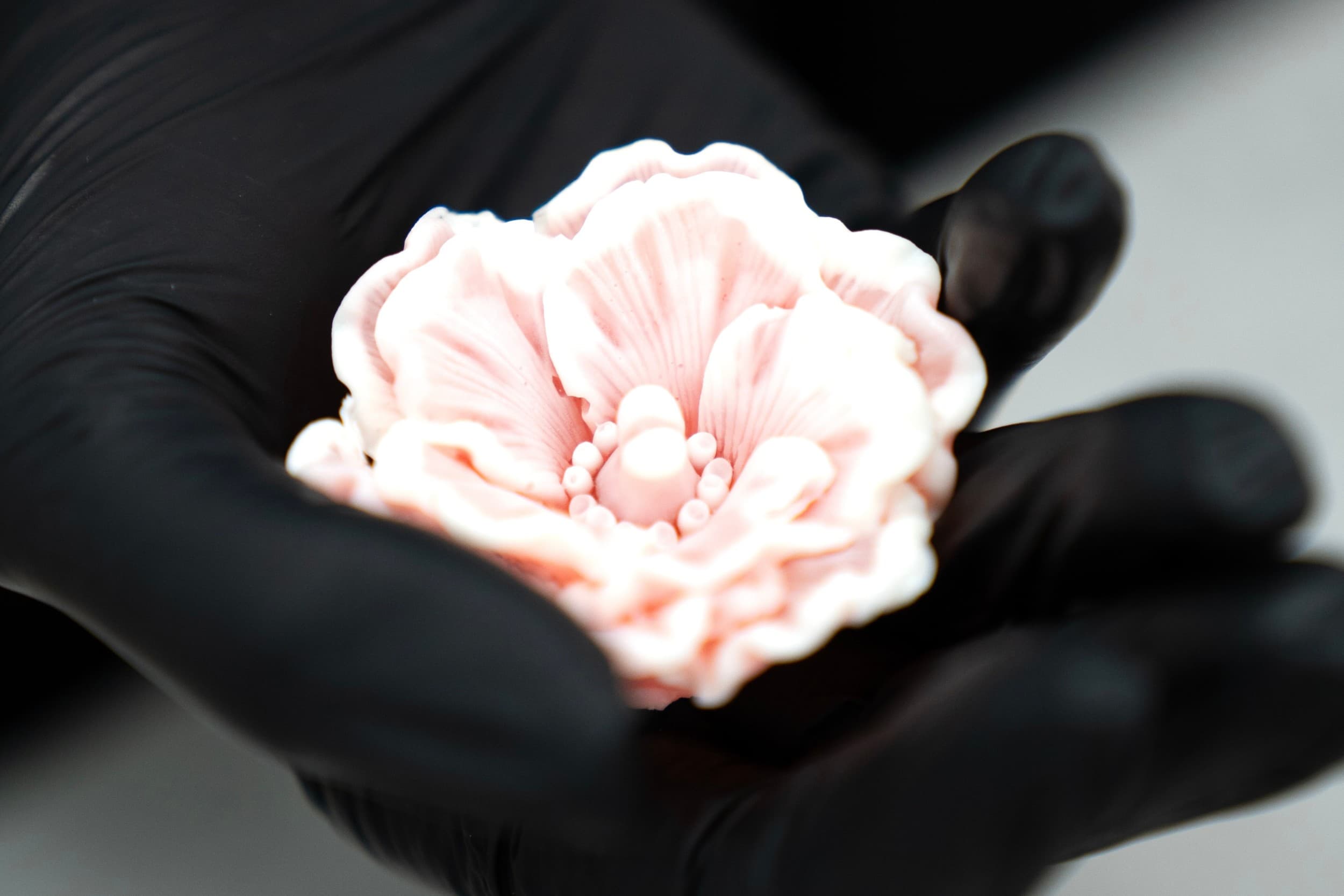 Мастер-класс по мылу от Arsenijs Fabrica (2 чел.)