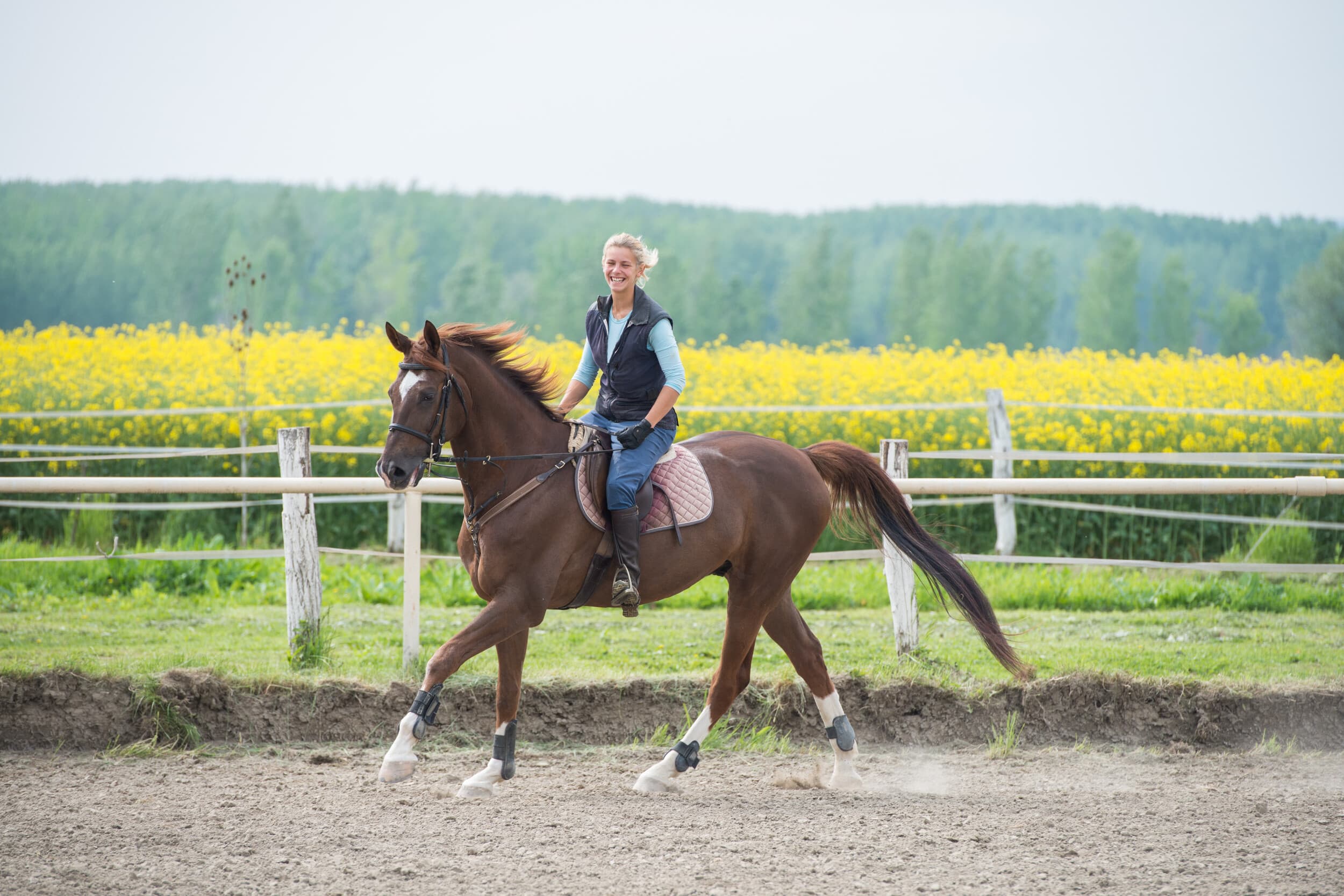 Individuāla jāšanas apmācība (1 pers., 1h, Katlakalns)