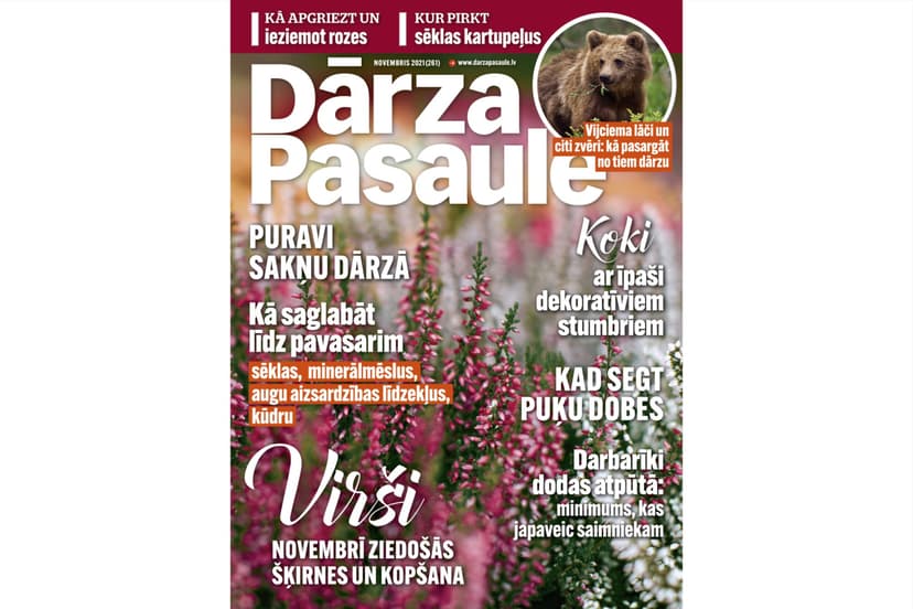 Dāvanu karte žurnāla DĀRZA PASAULE abonementam (6 mēn.)