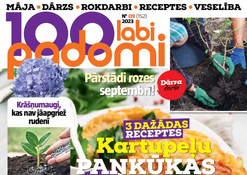 Dāvanu karte žurnāla 100 LABI PADOMI abonementam (12 mēn.)