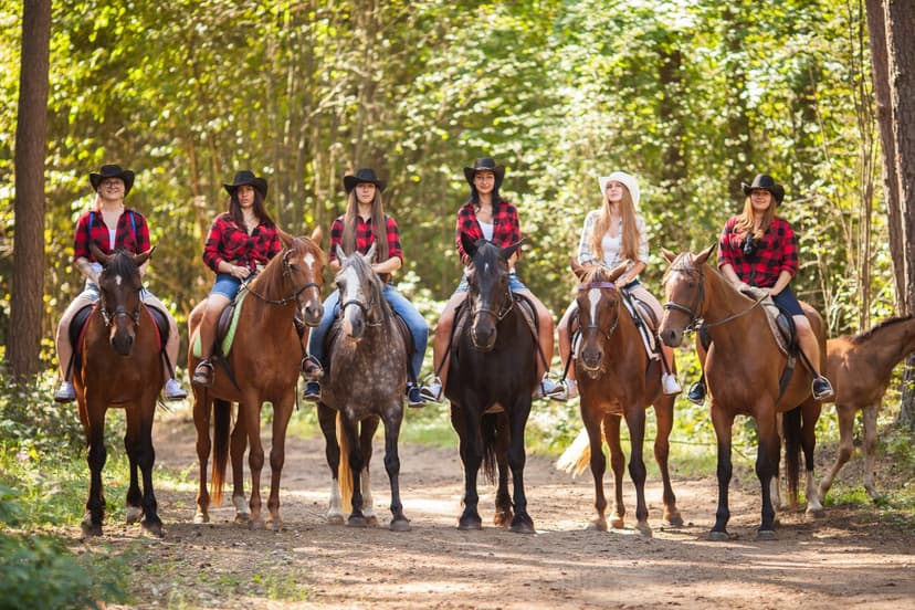 Izjāde ar zirgiem draugu lokā (6 pers.)