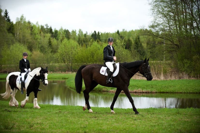 Piedzīvojums zirga mugurā